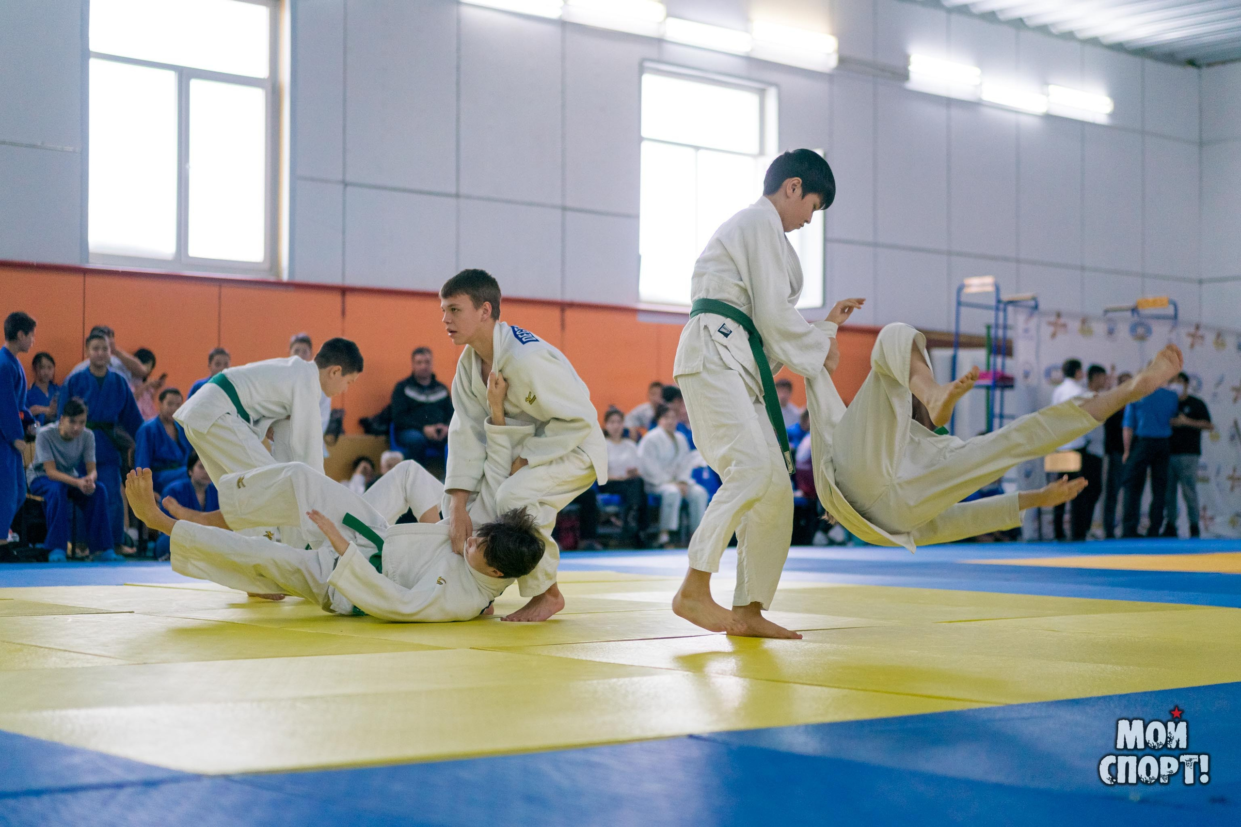 Кубок и первенство РС (Я) по дзюдо. Студия «Мой Спорт!» — все о спорте в Якутии
