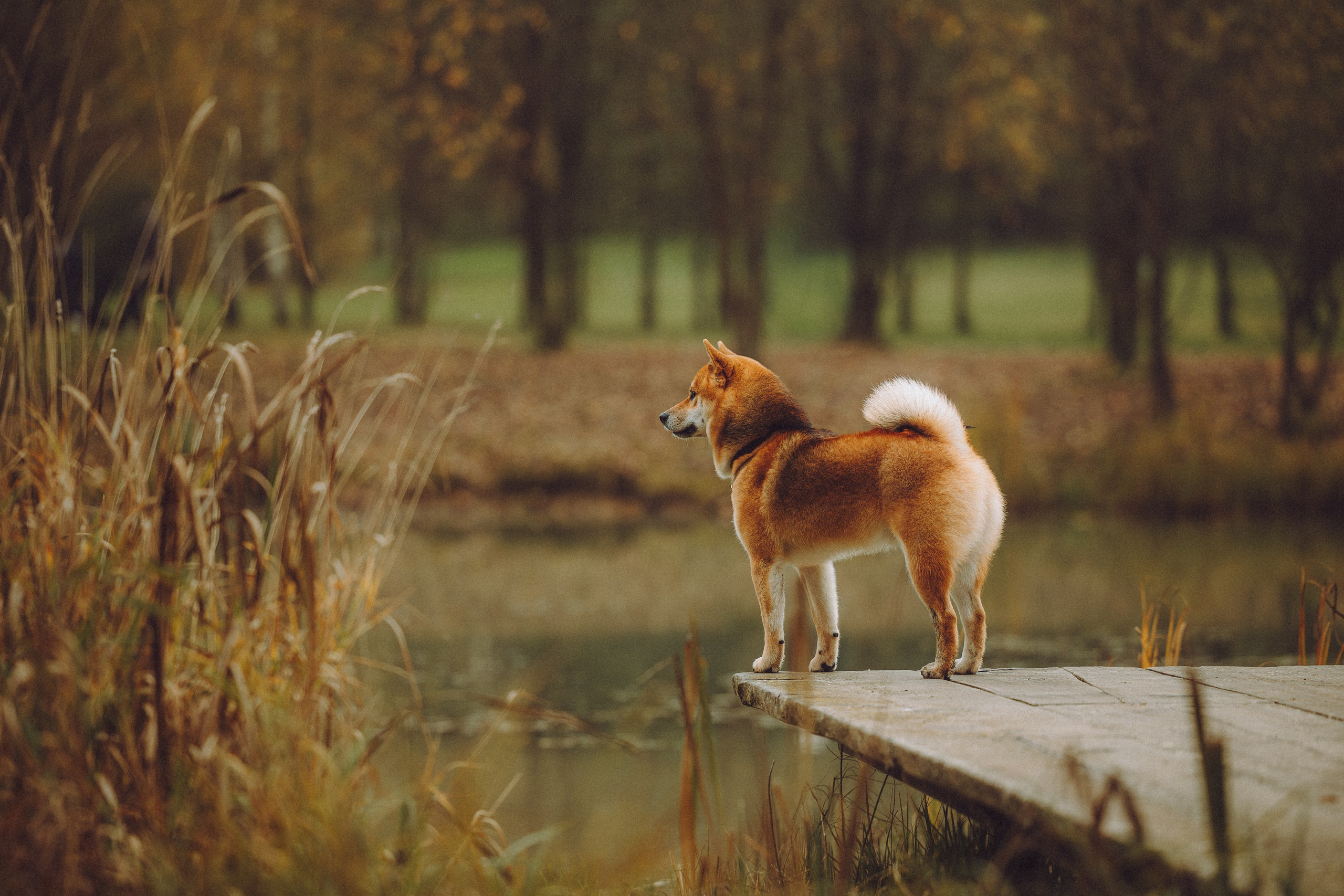 Настя, Юра и Скай