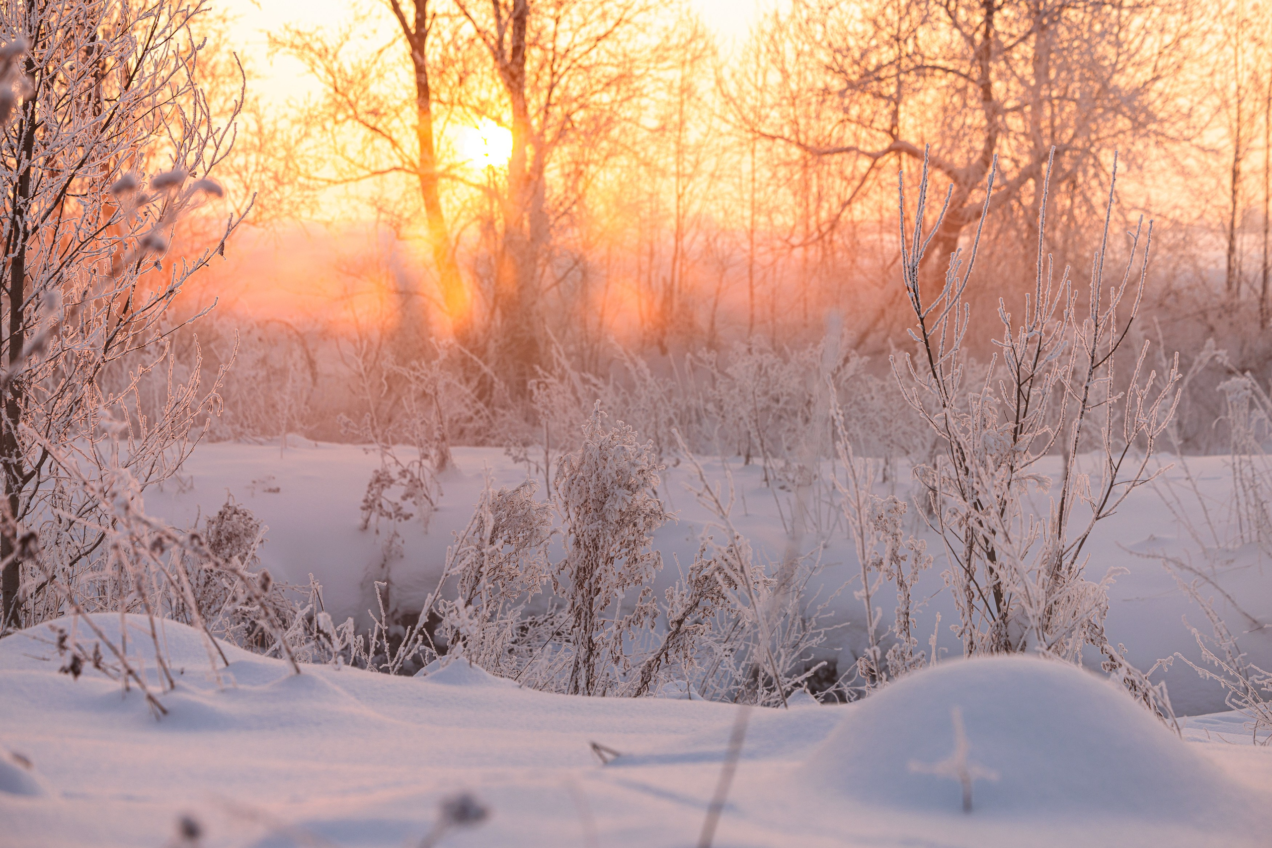 Пейзаж (вич рн) Закат. Владимир Петухов — фотограф в г. Кинешма. Оператор FPV