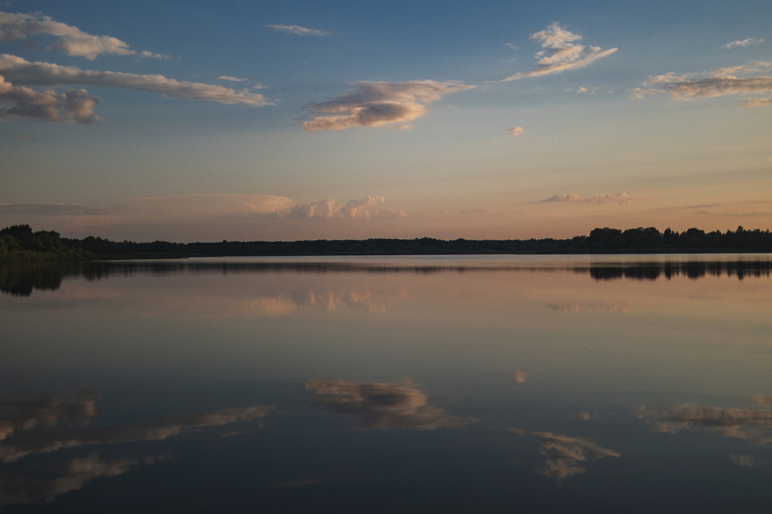 ВЛАДИМИР И АЛЕНА. Фотограф Светлана Буня