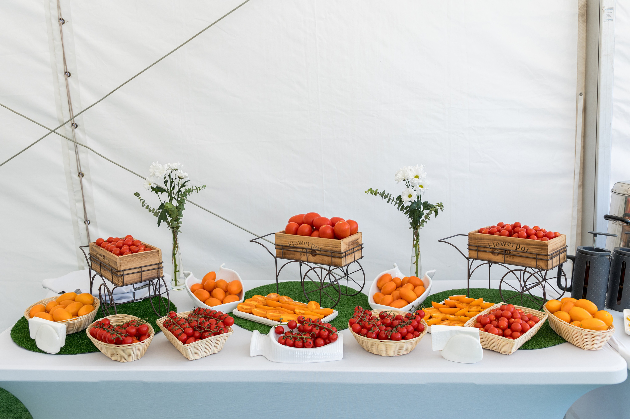 Воронеж Агро-Первый камень. Владислав Волков | Фотография и видеосъемка в Воронеже