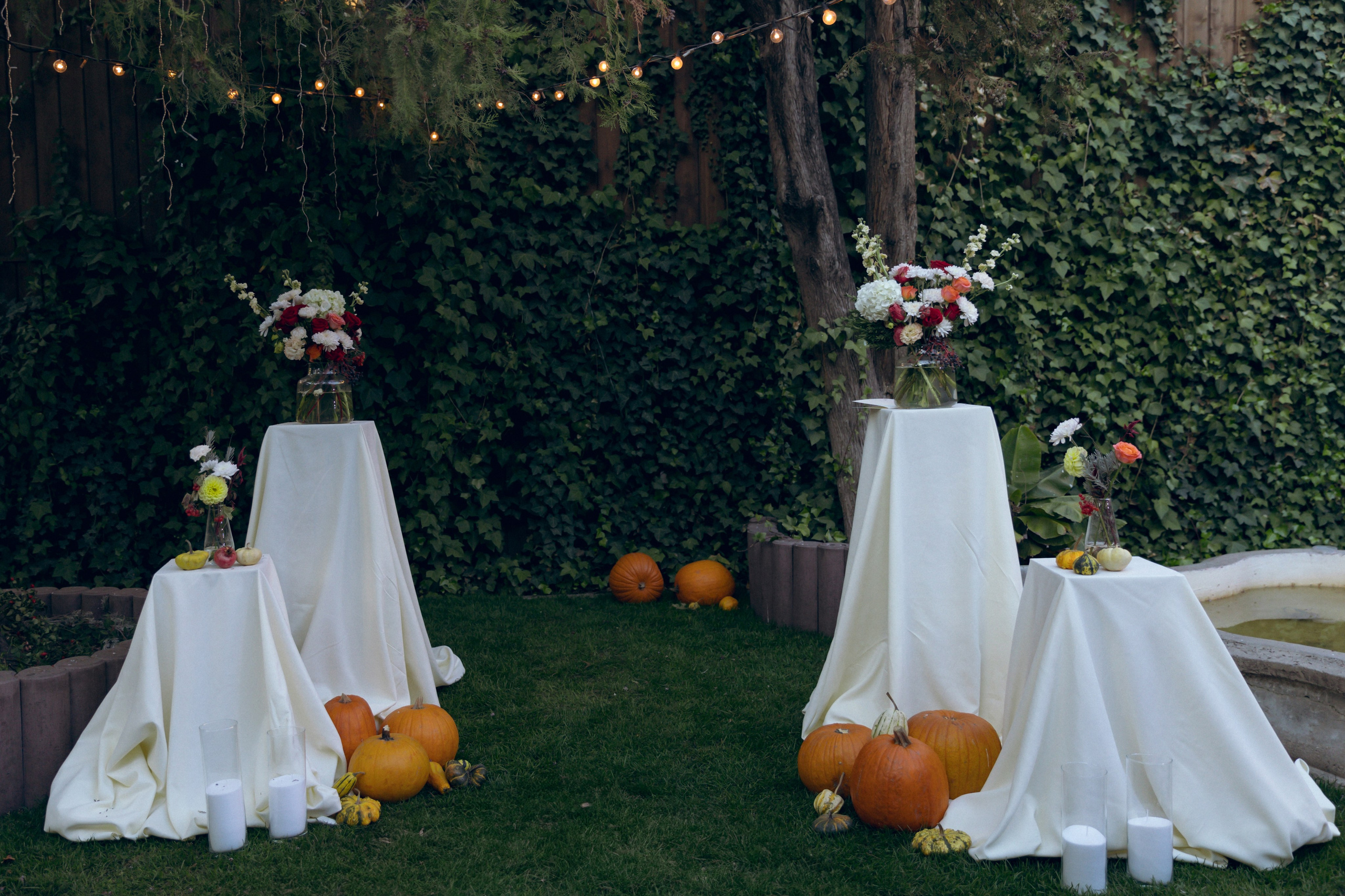 Николай и Юлия, 26 октября 2024. Свадебный  и семейный фотограф в Краснодаре