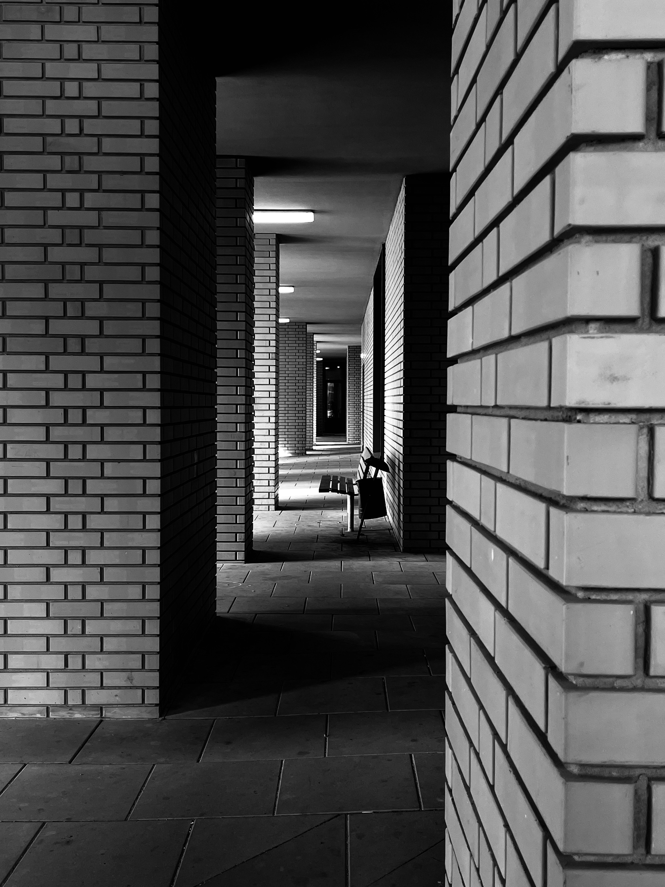 5=30. Елизавета БаковА