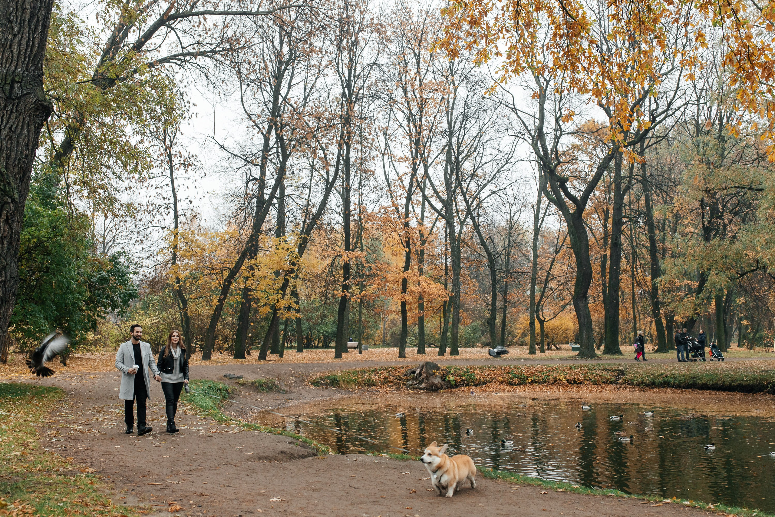 Парные и семейные. Портретный фотограф в Санкт-Петербурге Катя Протасевич