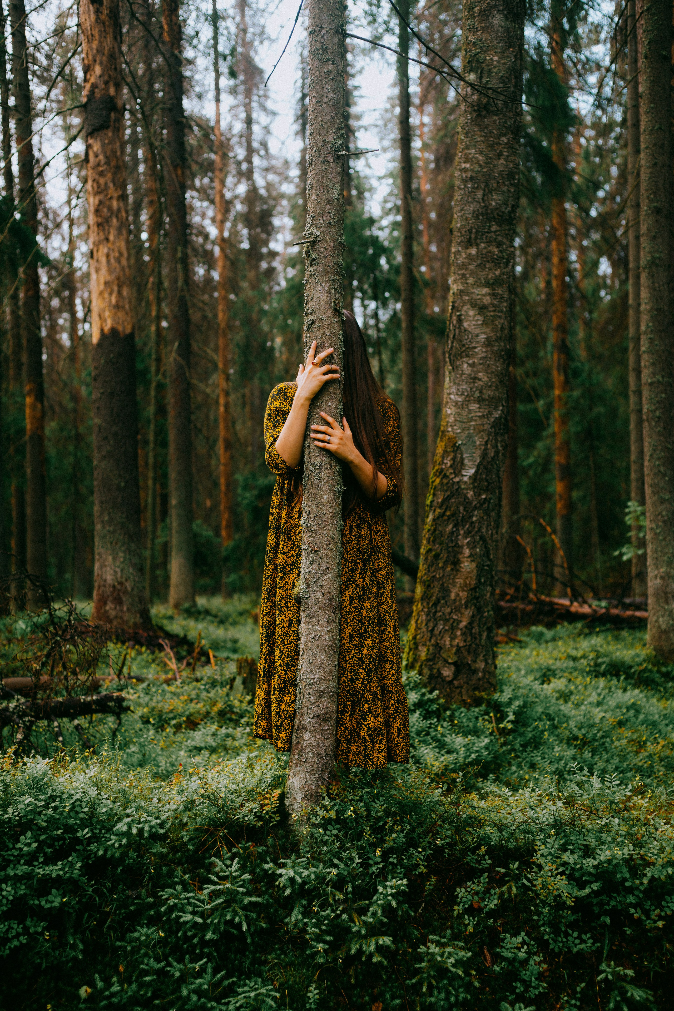 Liza. Forest Nymph. Портретный и концептуальный фотограф в Санкт-Петербурге Роман Башкиров