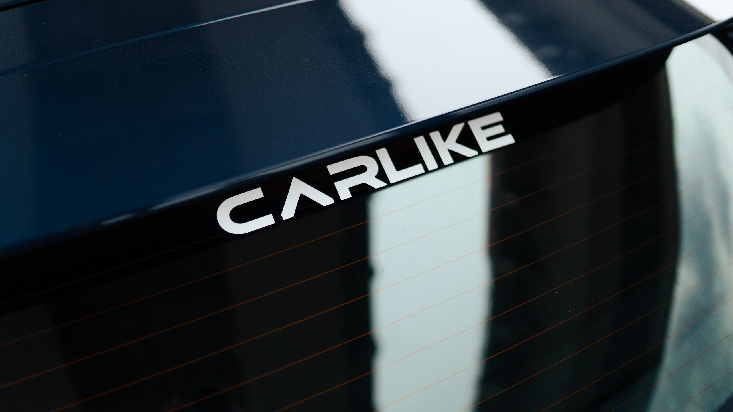 День молодежи 2023. Фотограф в СПБ Алмаз Камаев