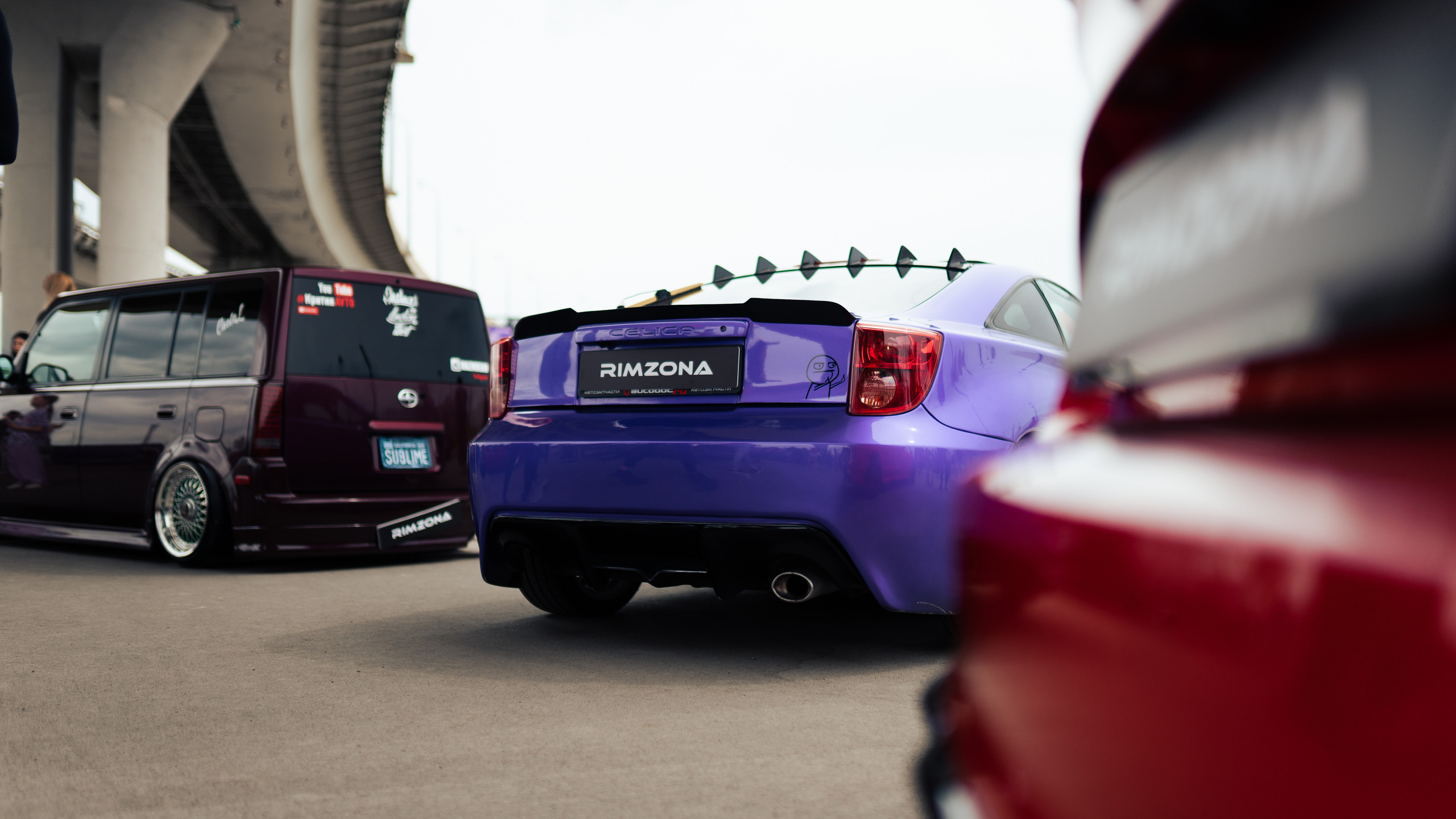 День молодежи 2023. Фотограф в СПБ Алмаз Камаев