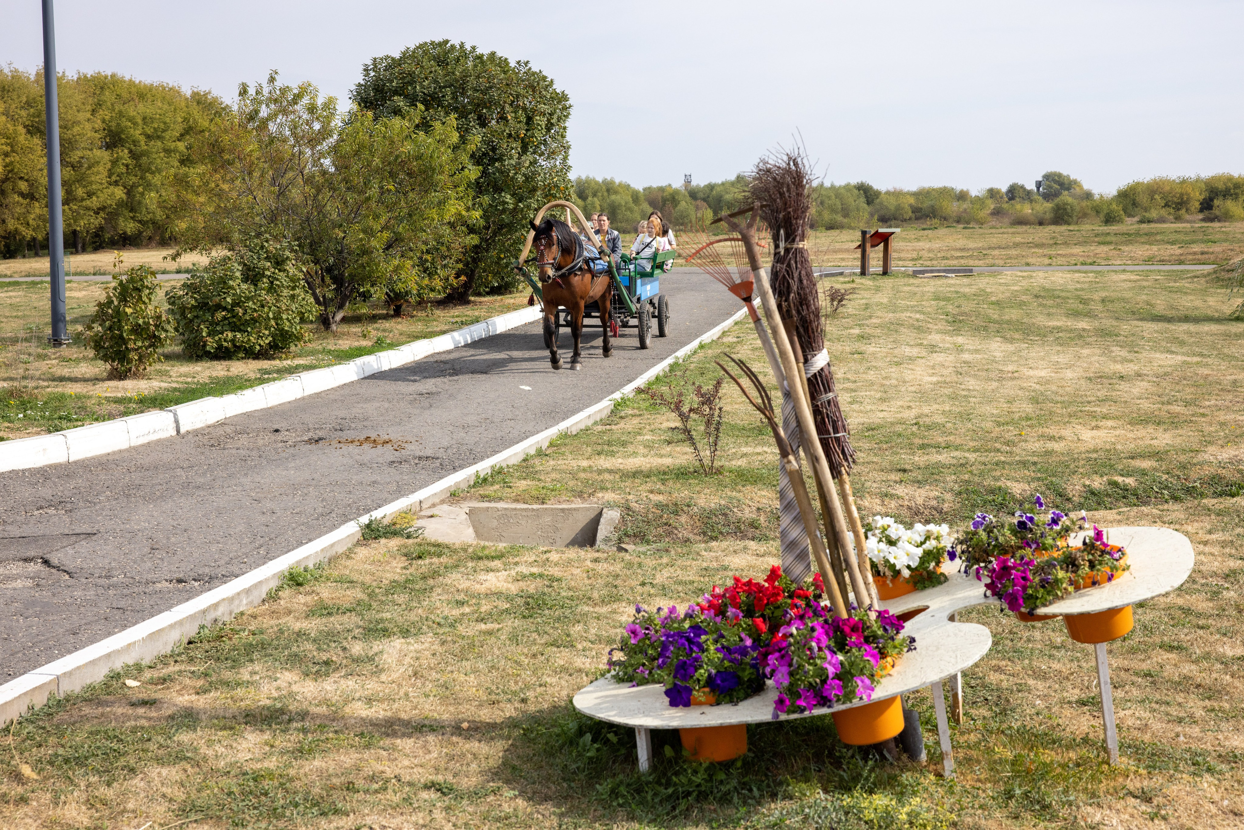 Поездка на поле Кулеково. Фотограф в Туле Крупский АнДРей. Фотостудия «КАДР71» в Туле