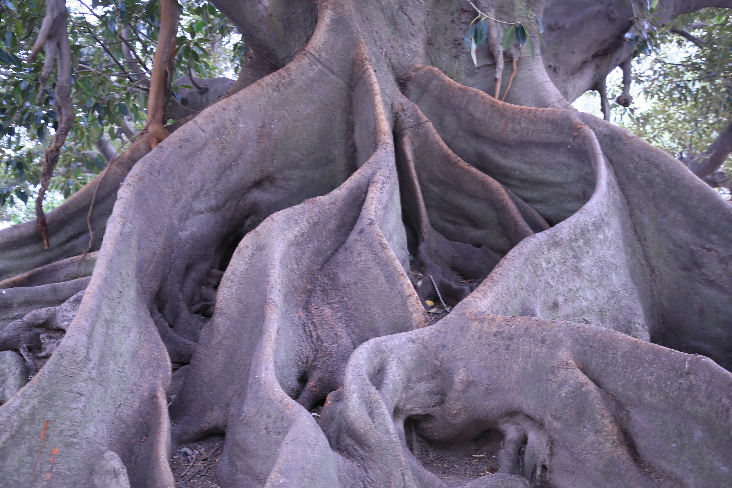 Buenos Aires, Argentina. Andrey Filippov Photographer