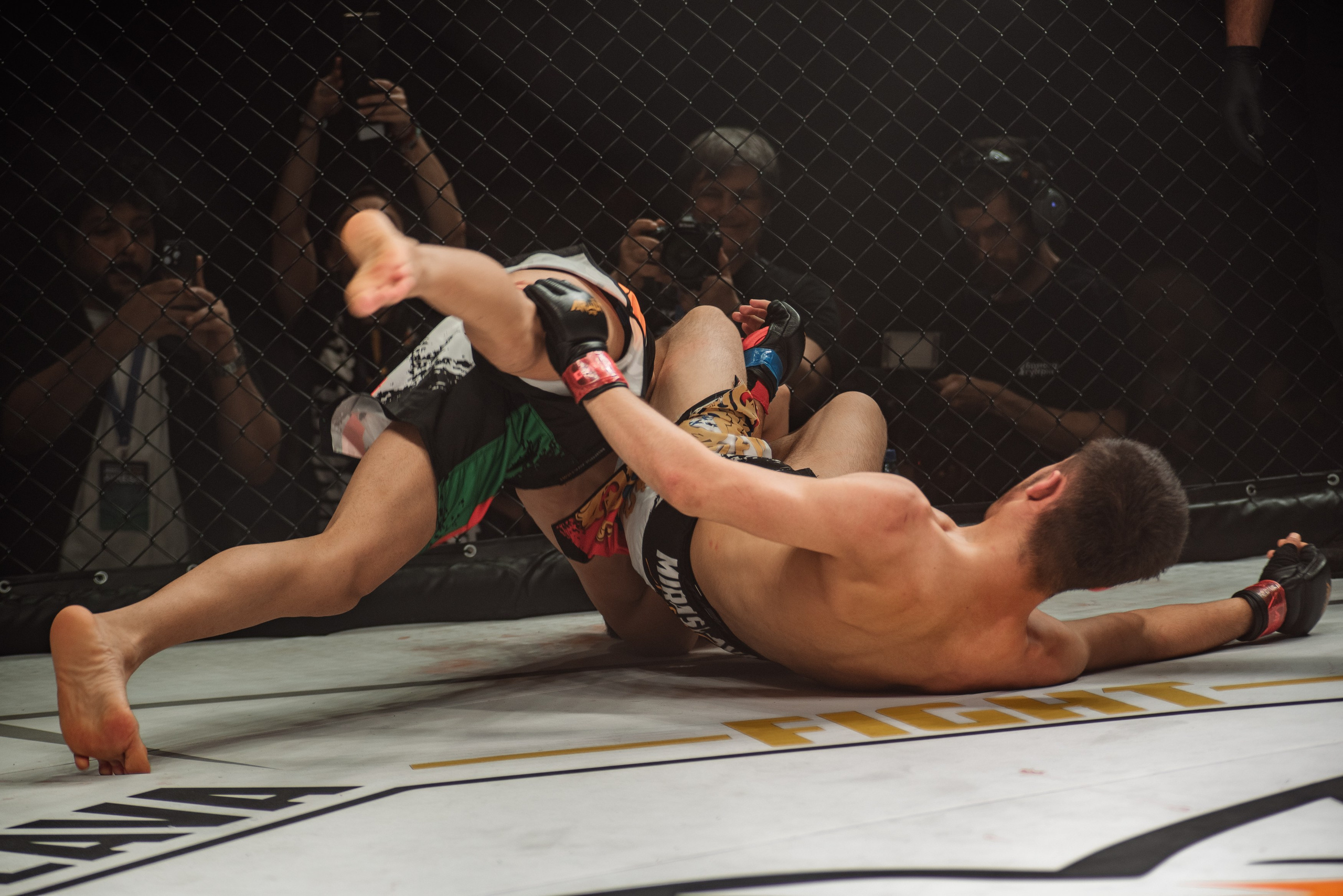 Miroslava Fight