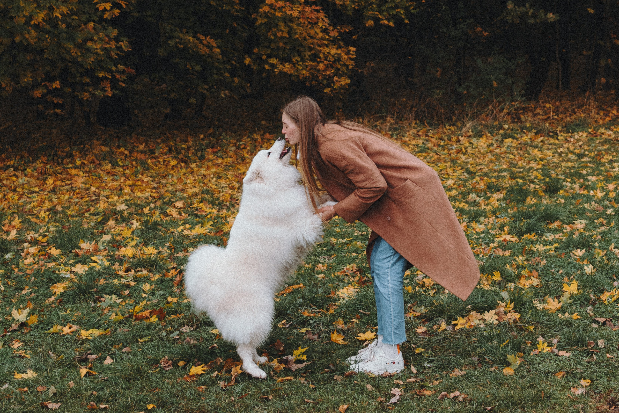 Valya & Varya. Natalia Finch Photography — Family, Kids & Pet Photographer in Chicago, IL