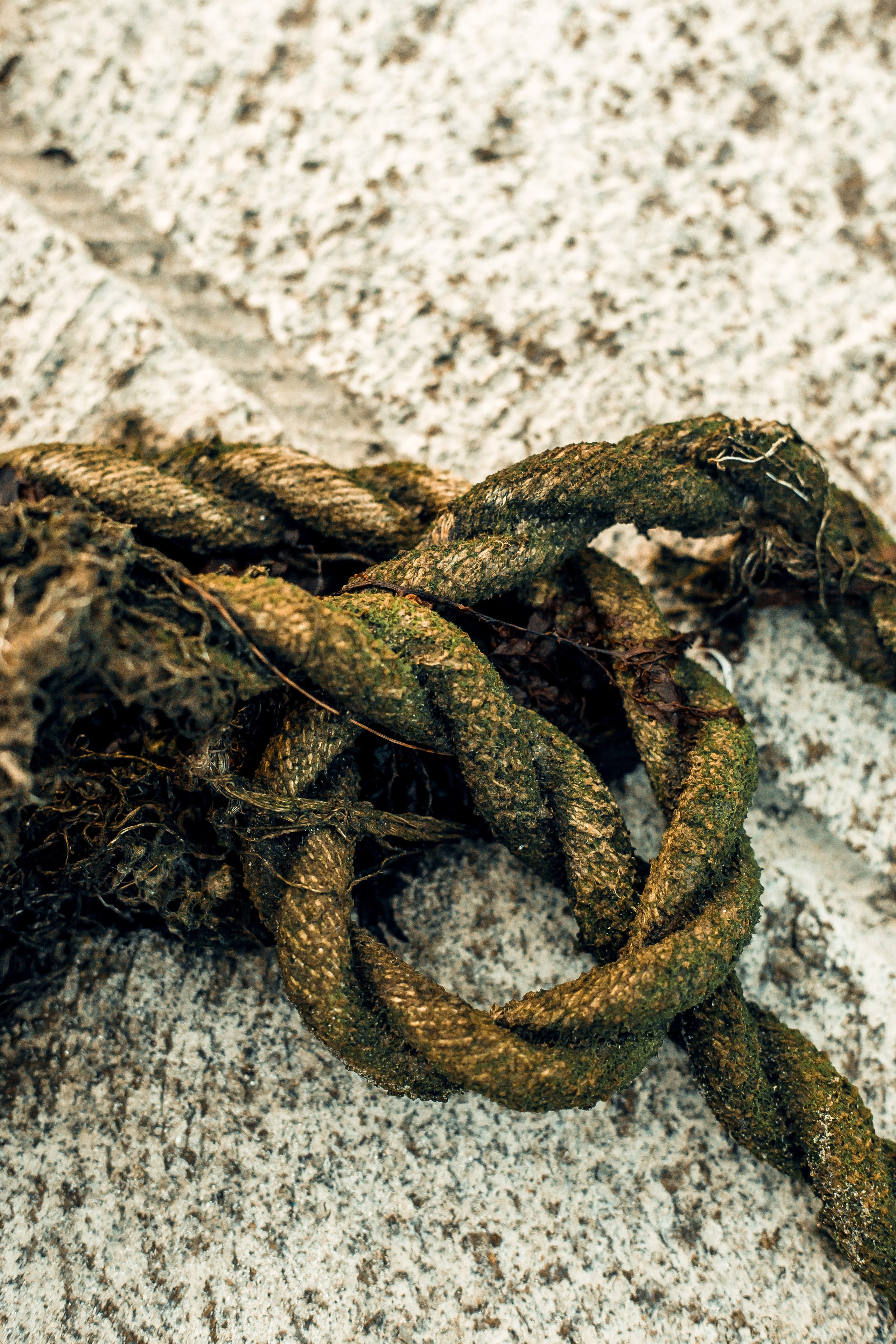 Thailand 2023, Samui. Art Photographer