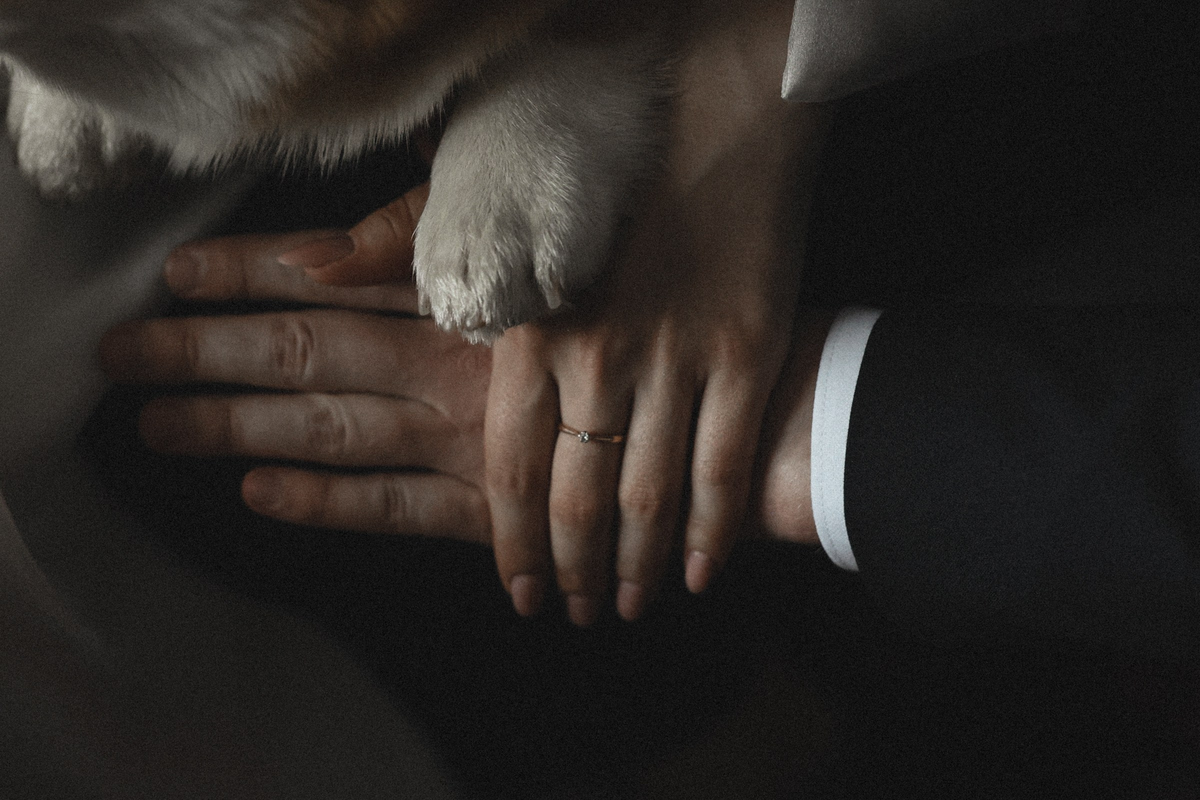 Daenerys. Свадебный фотограф в Ярославле Илья Жуков