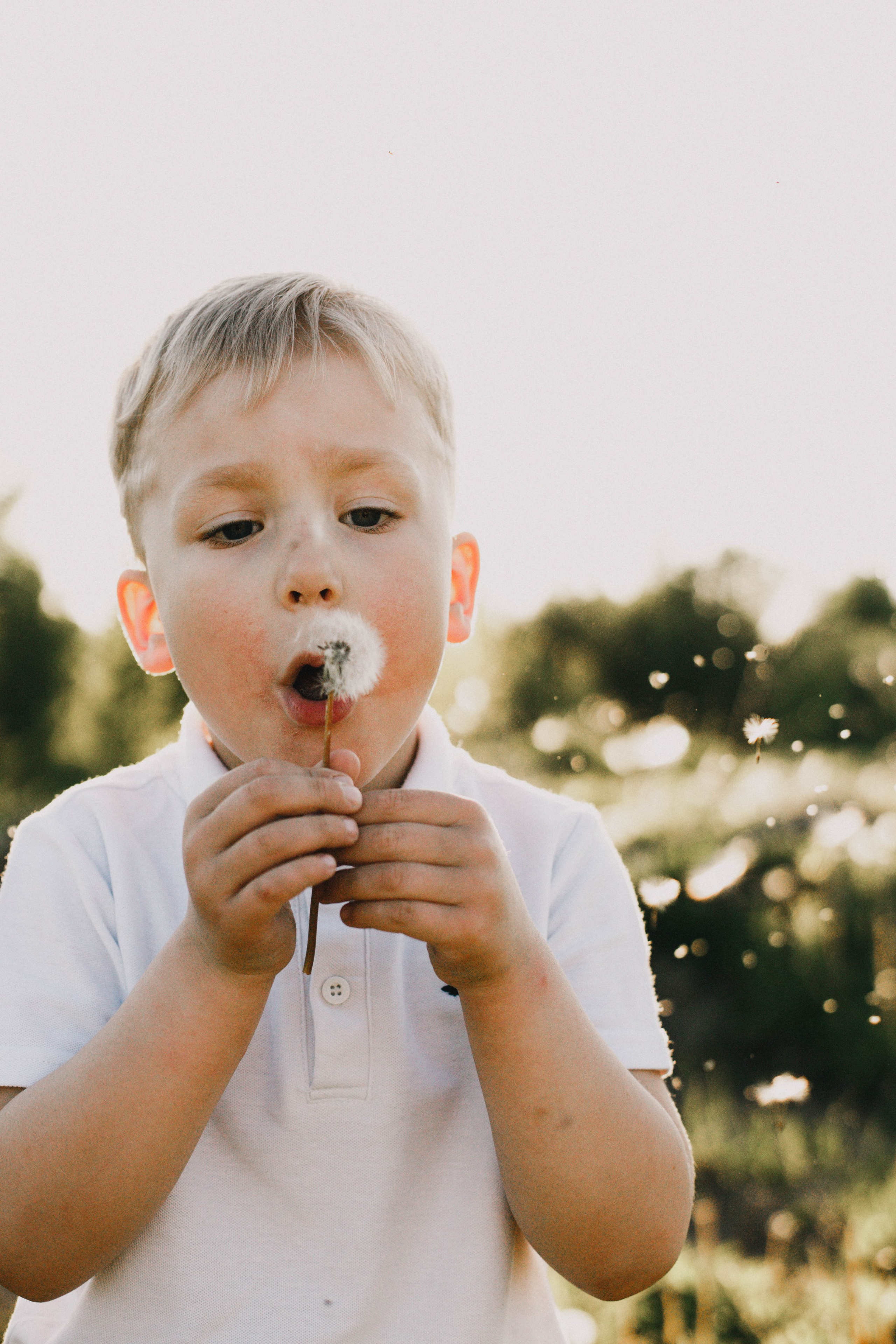 Гера и Примус. Фотограф в Нижнем Новгороде