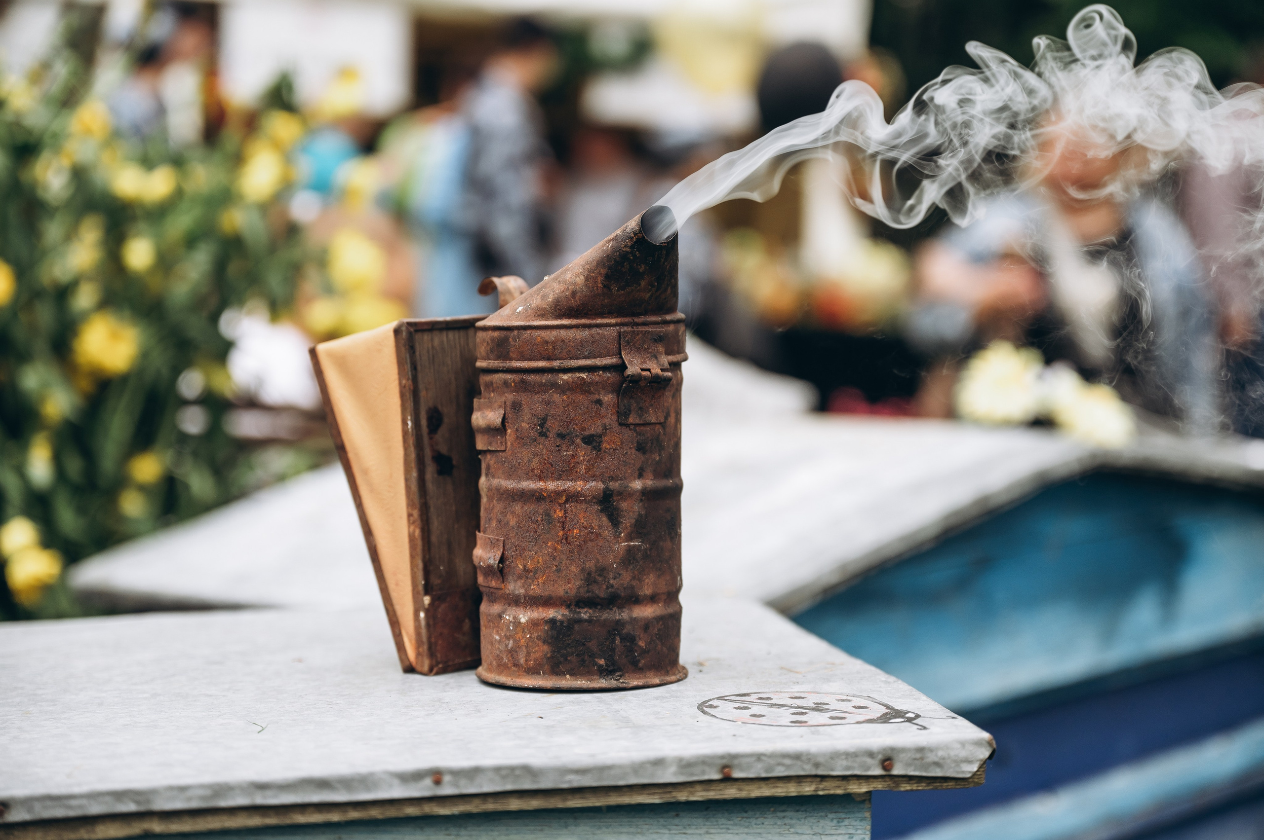 День города 2023. Фотограф Илья Солдаткин