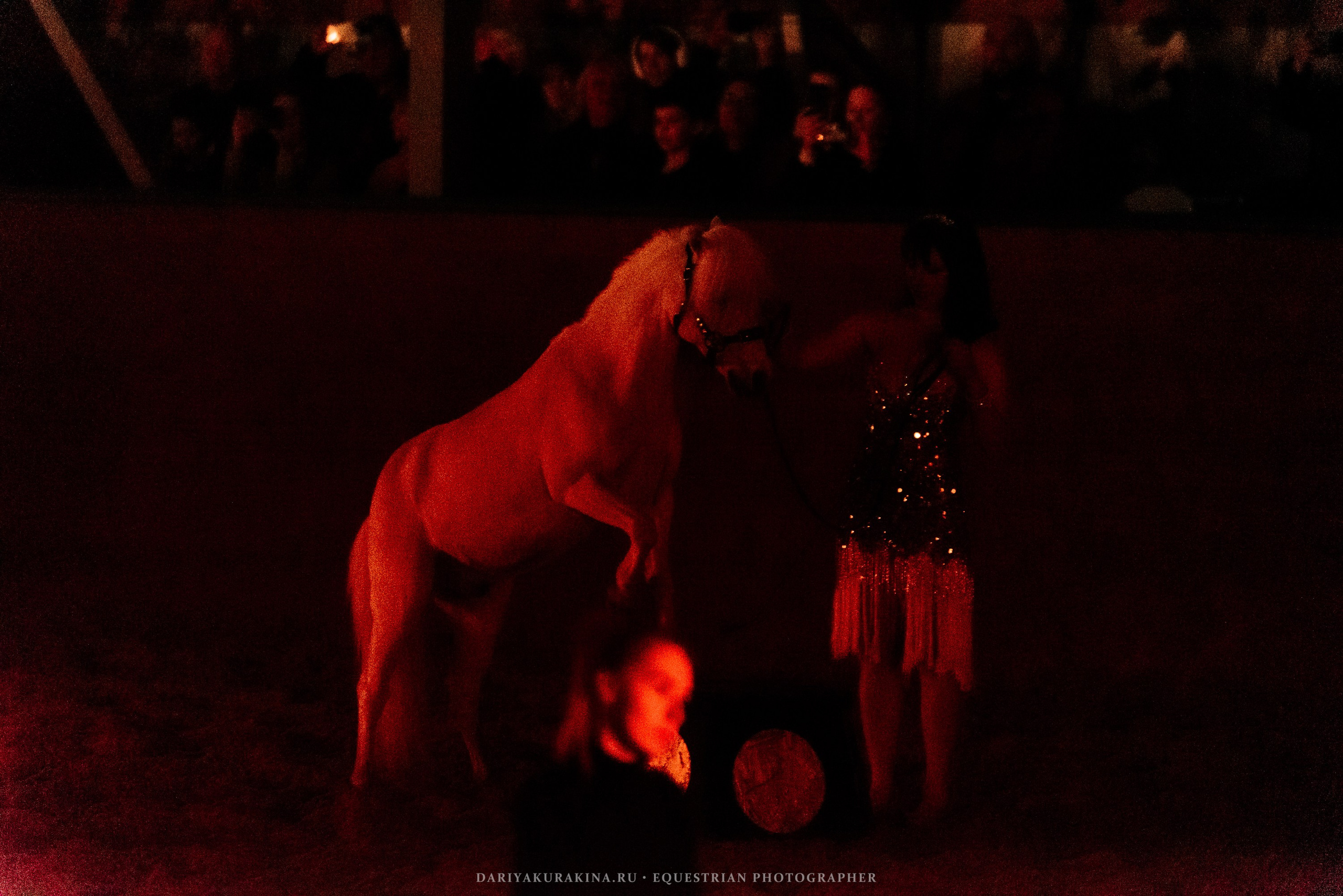Конное представление «Дыхание Звёзд». Конный фотограф Куракина Дарья • Фотосессии с лошадьми