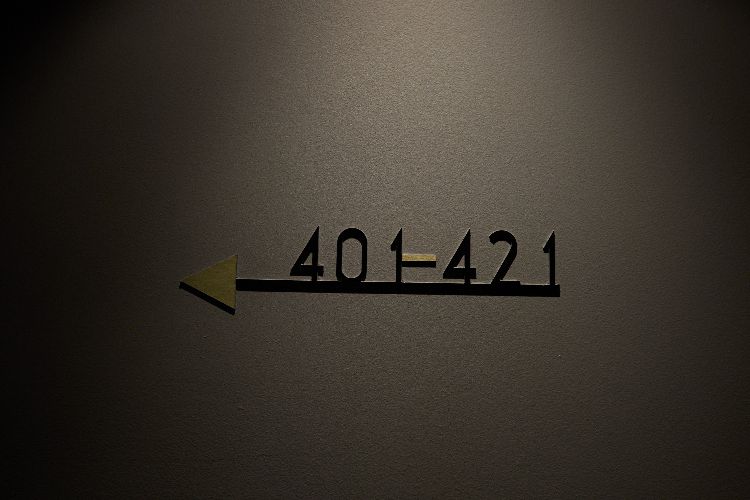 Рождество въ Санктъ-Петербургѣ. Фотографъ Сергѣевъ. Поймать мгновеніе