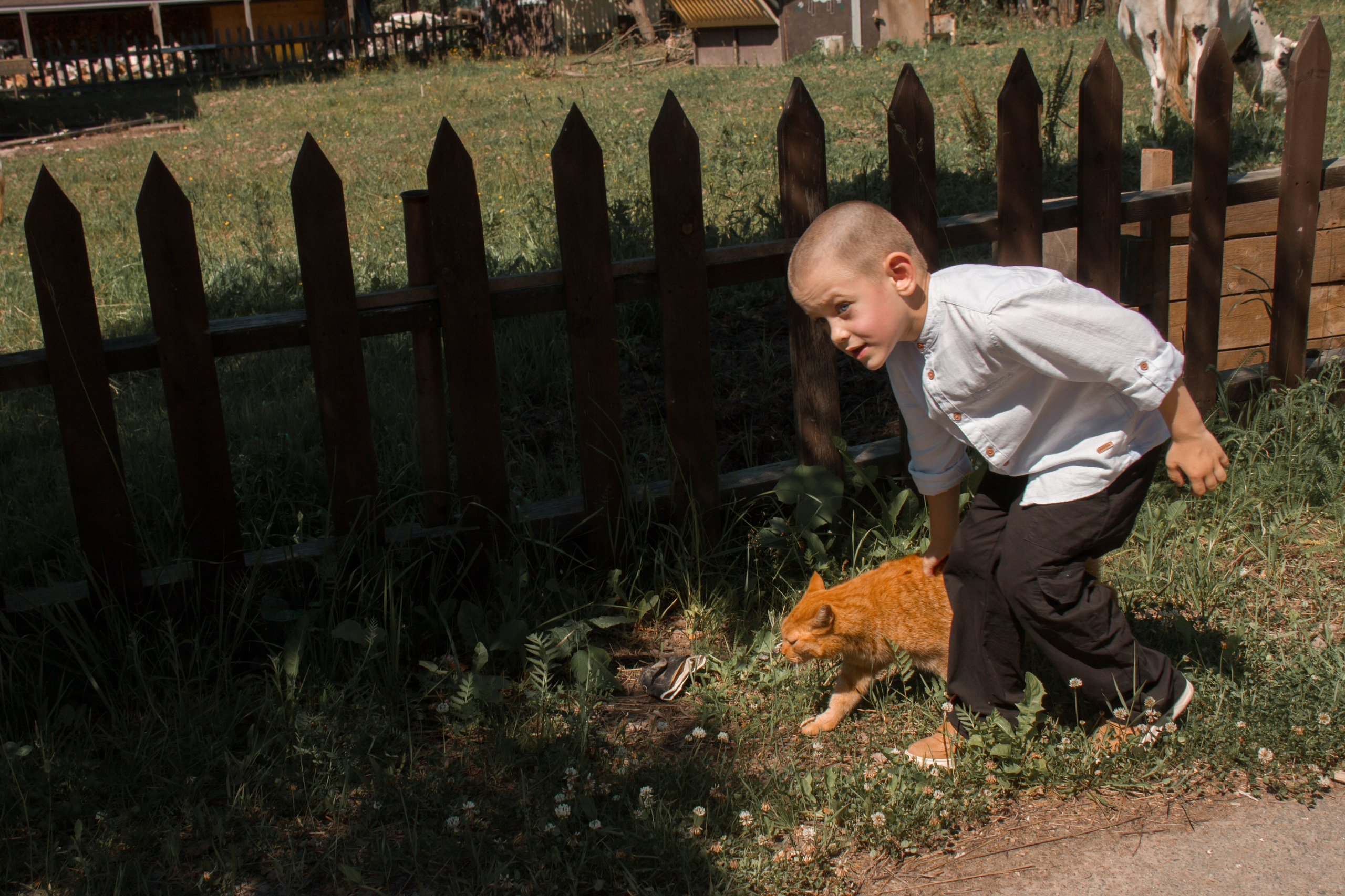Семейная съёмка в Петергофе. Свадебный, семейный и контент фотограф в Санкт- Петербурге Елена Грие