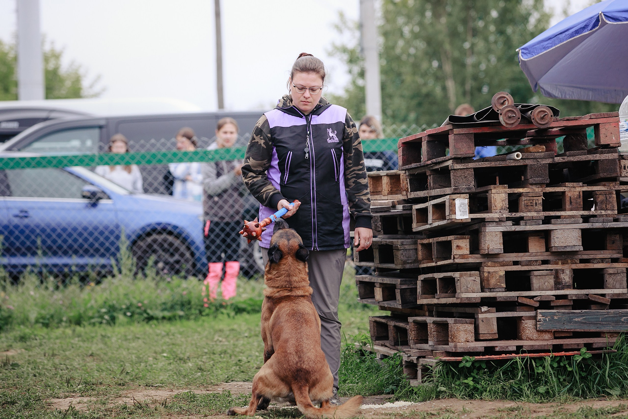 Мондьоринг М1, М2, М3, Вологда. Фотограф-анималист Mary Mart — Москва, Питер
