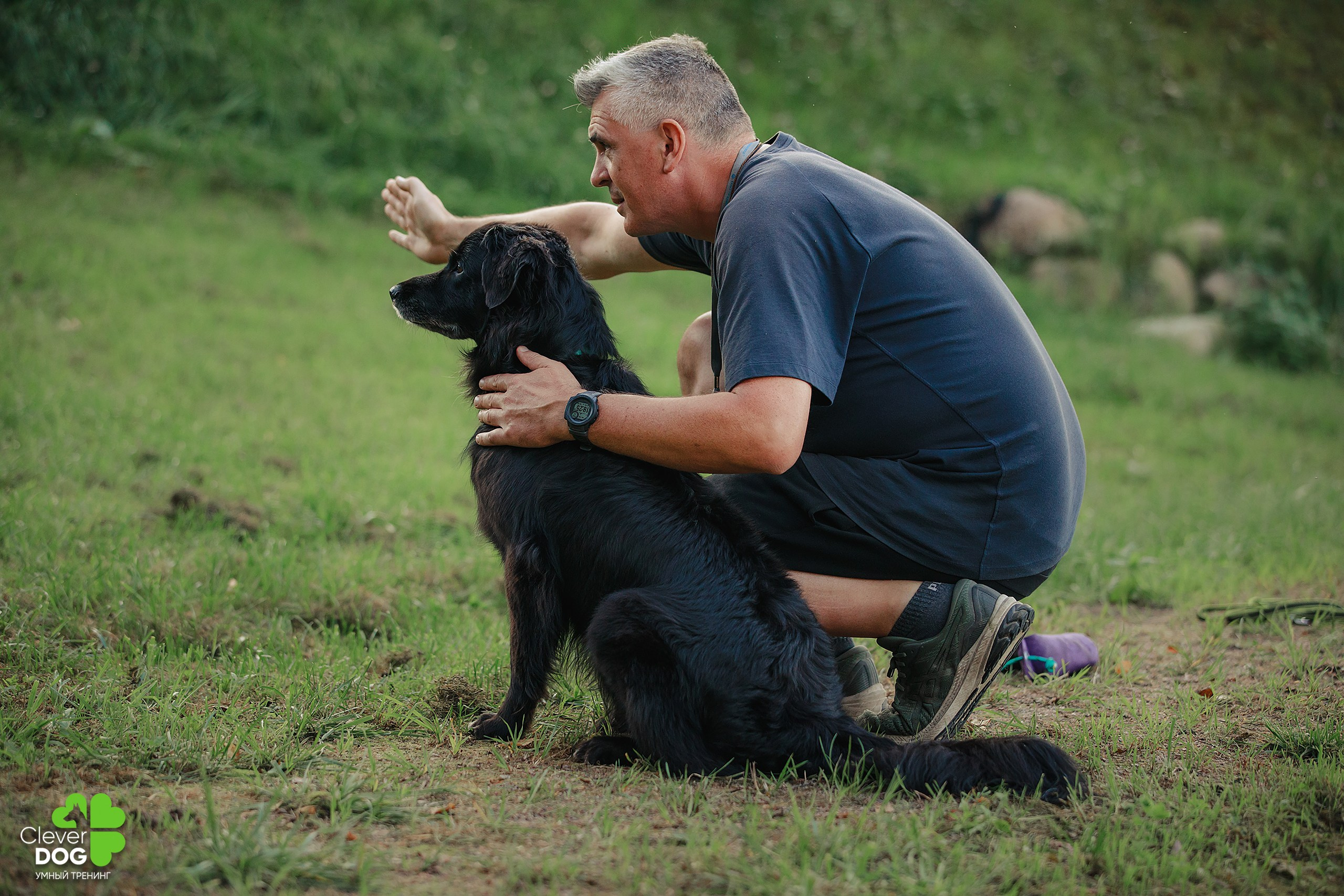Кинологический лагерь CleverDog, 2024. Фотограф-анималист Mary Mart — Москва, Питер
