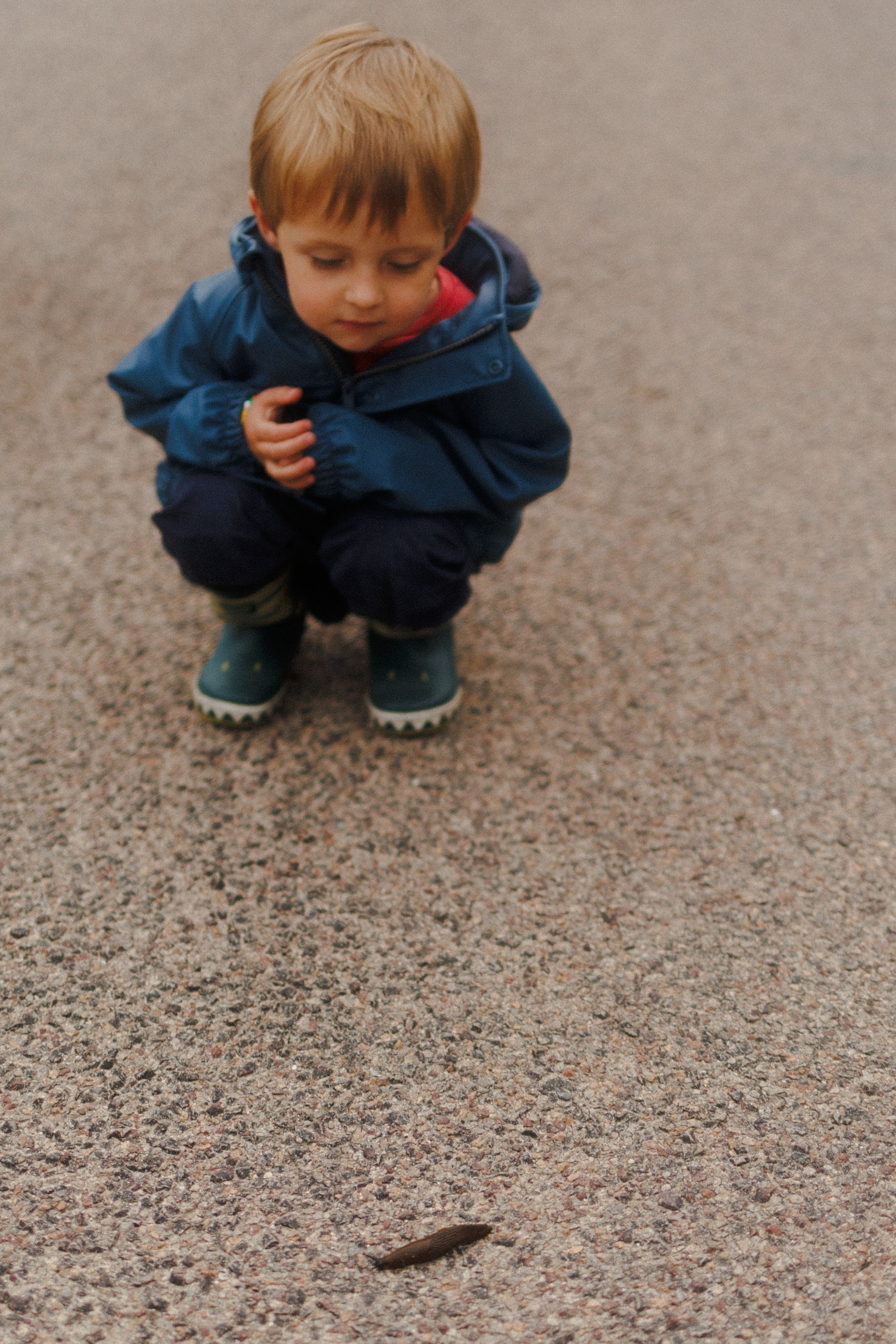 Марианна и Габриэль. Семейный и детский фотограф в Королёве Шарутина Лидия
