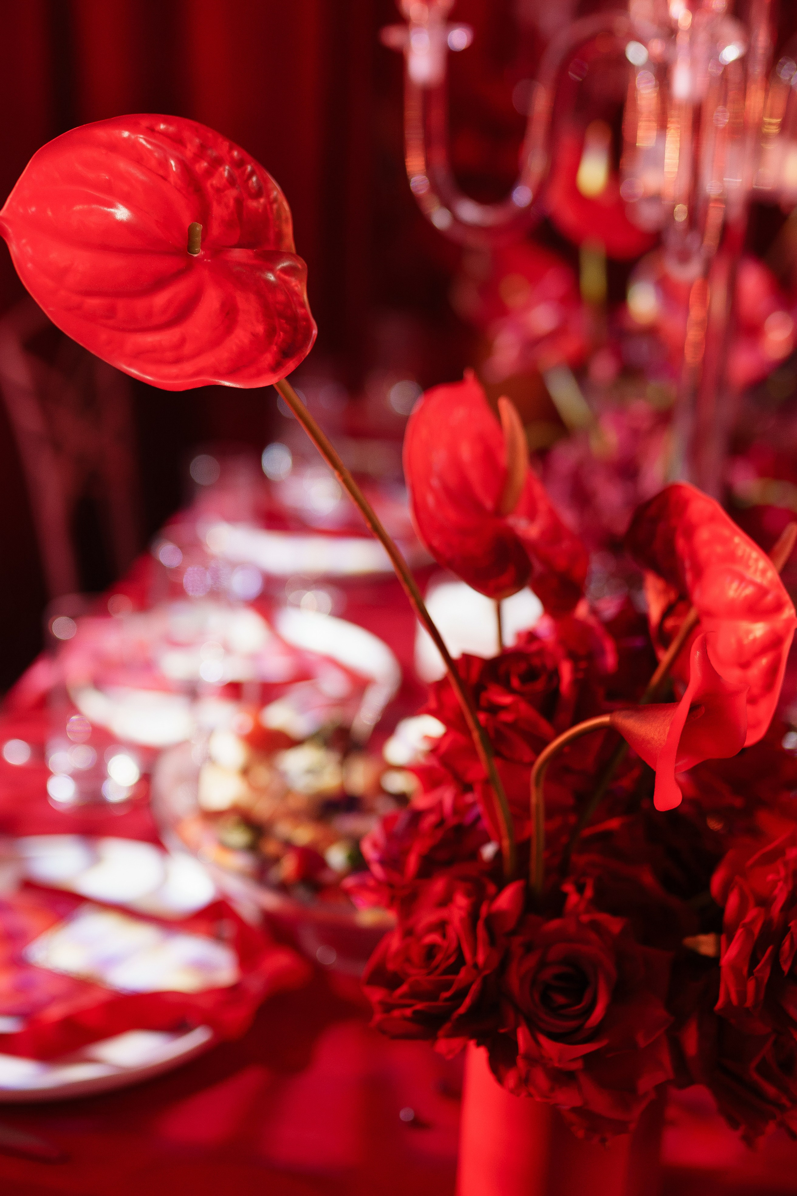 Репортаж. Фотограф Виктория Брайченко