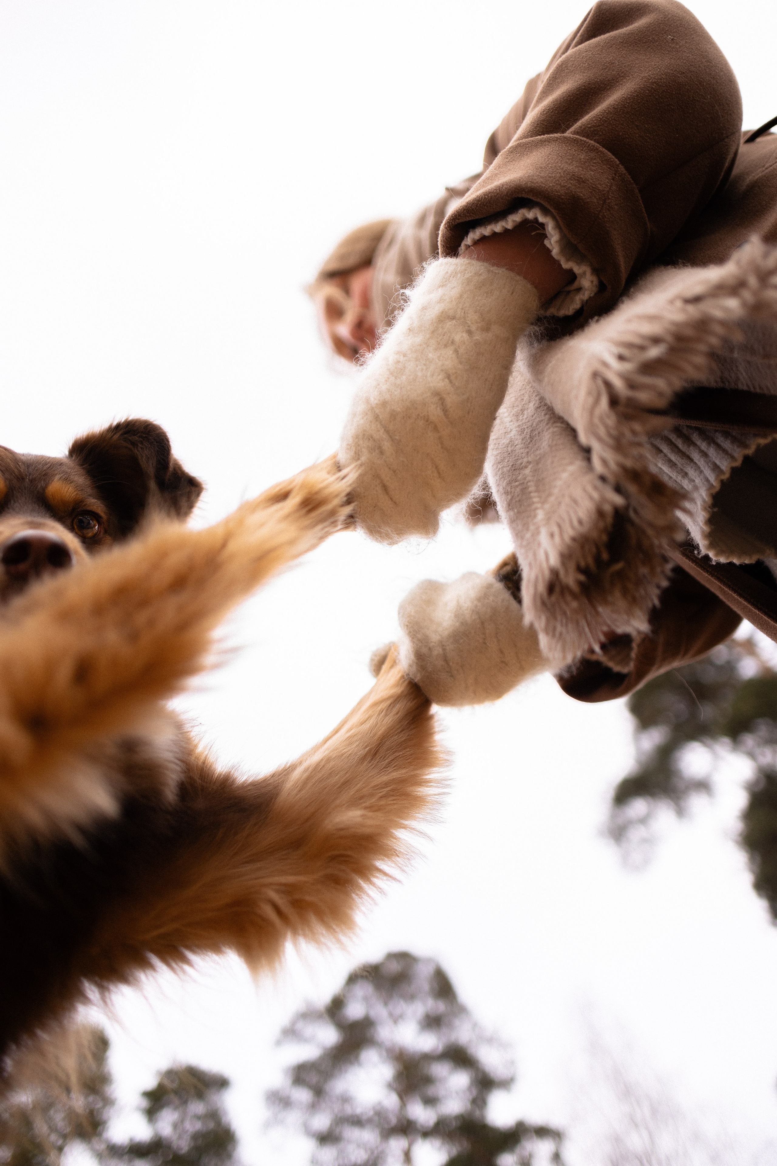 Катя и Мёд. Фотограф и видеограф анималист Аганина Дарья
