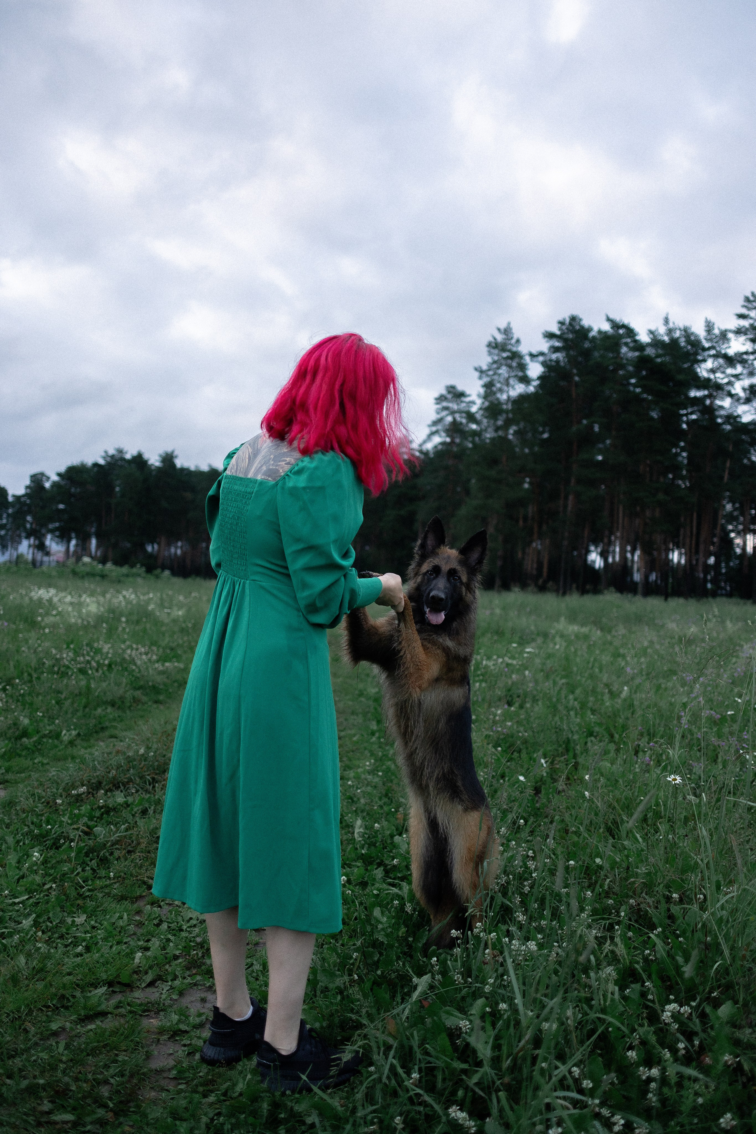 Алена, Фанни и Фрея. Фотограф и видеограф анималист Аганина Дарья