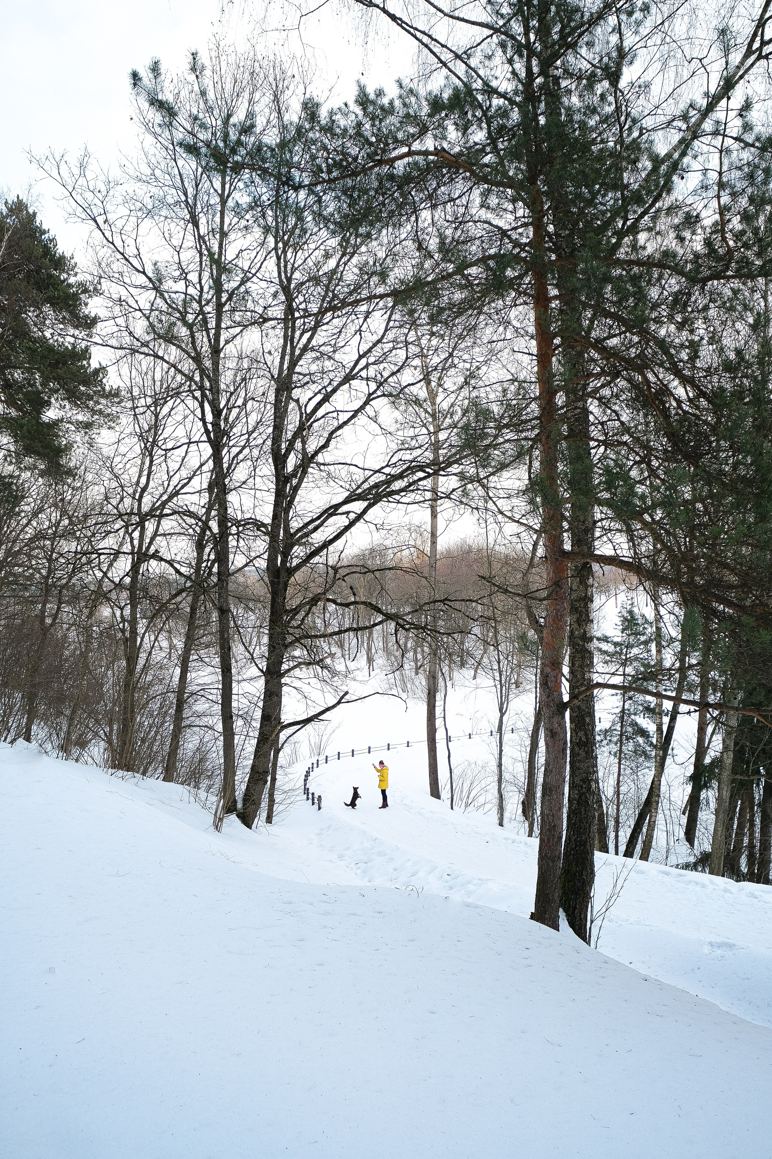 Маша и Одиссея. Фотограф и видеограф анималист Аганина Дарья