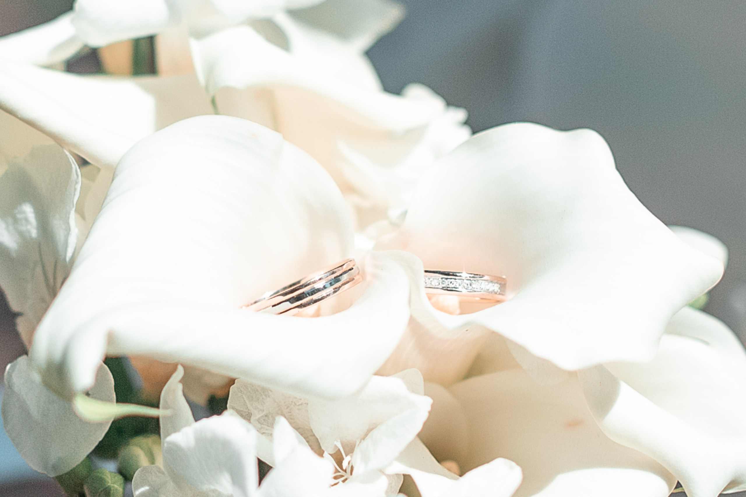 Свадьба Алеси и Михаила. Детский и семейный фотограф в Санкт-Петербурге Светлана Тарасова