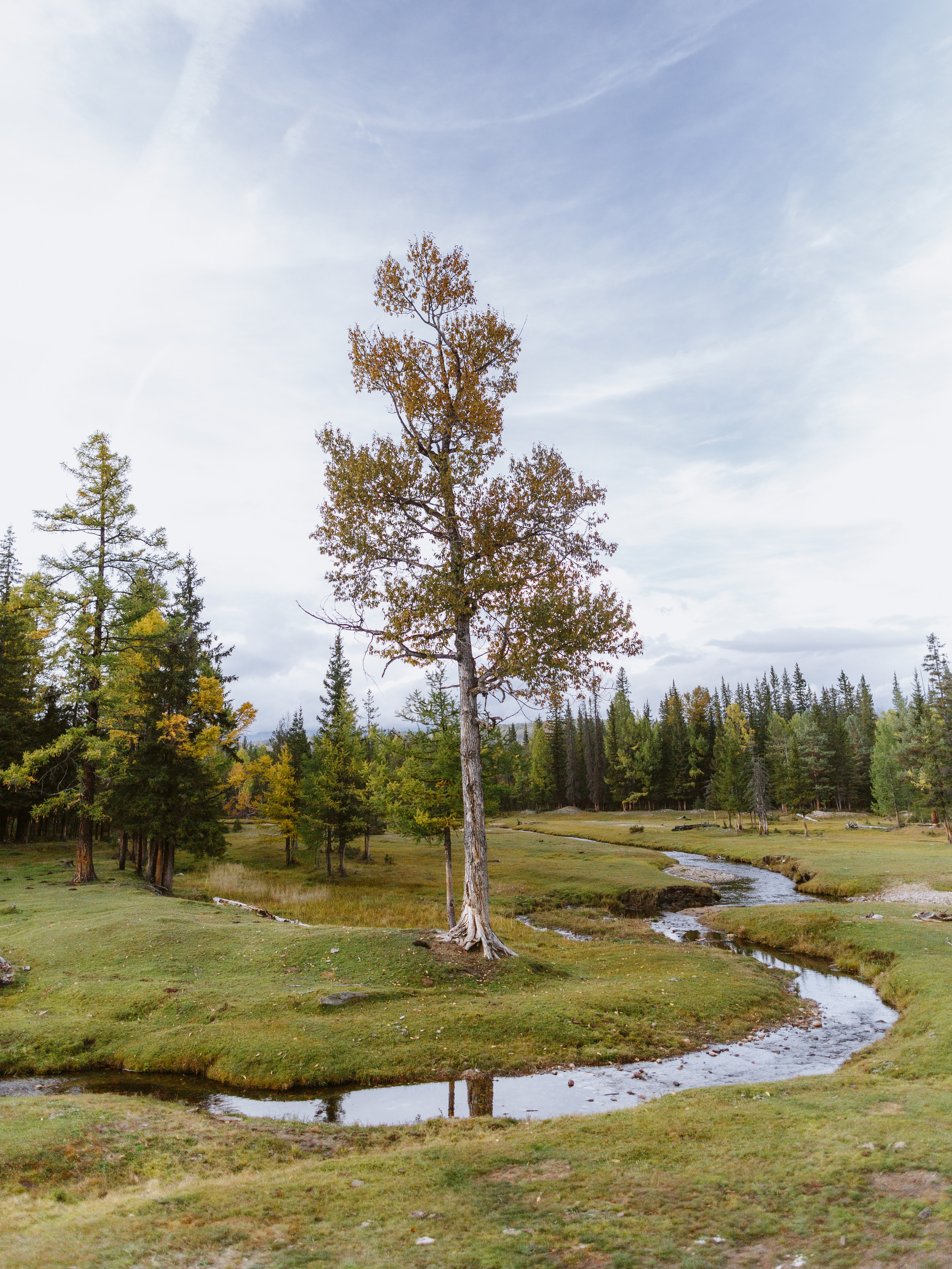 Тема и Аня. Свадебный фотограф в Москве Денис Анурьев