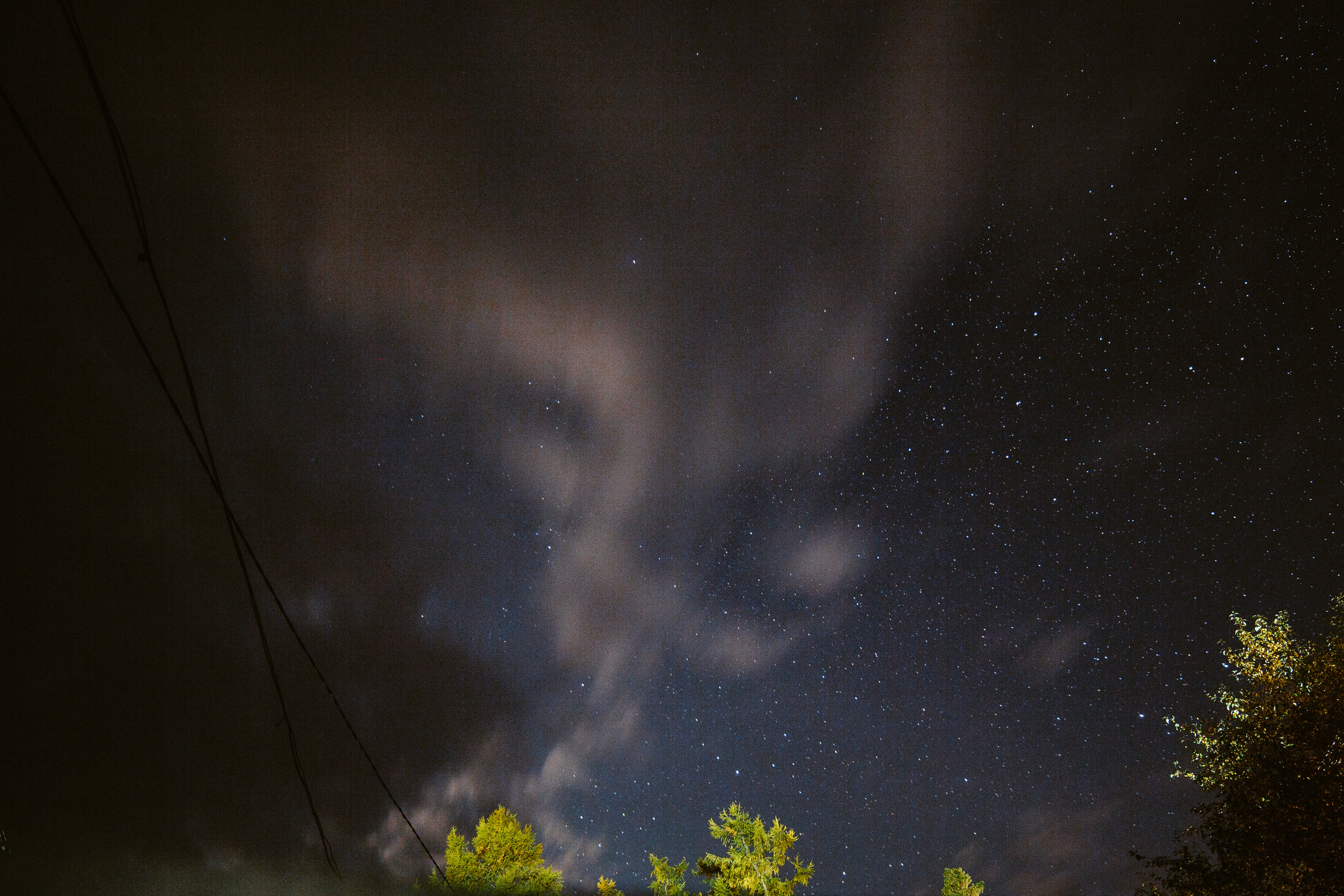 Тема и Аня. Свадебный фотограф в Москве Денис Анурьев