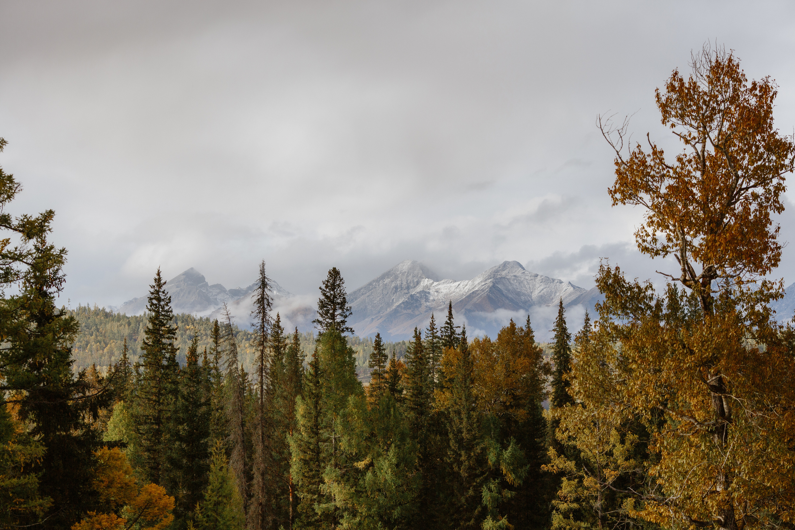 Тема и Аня. Свадебный фотограф в Москве Денис Анурьев
