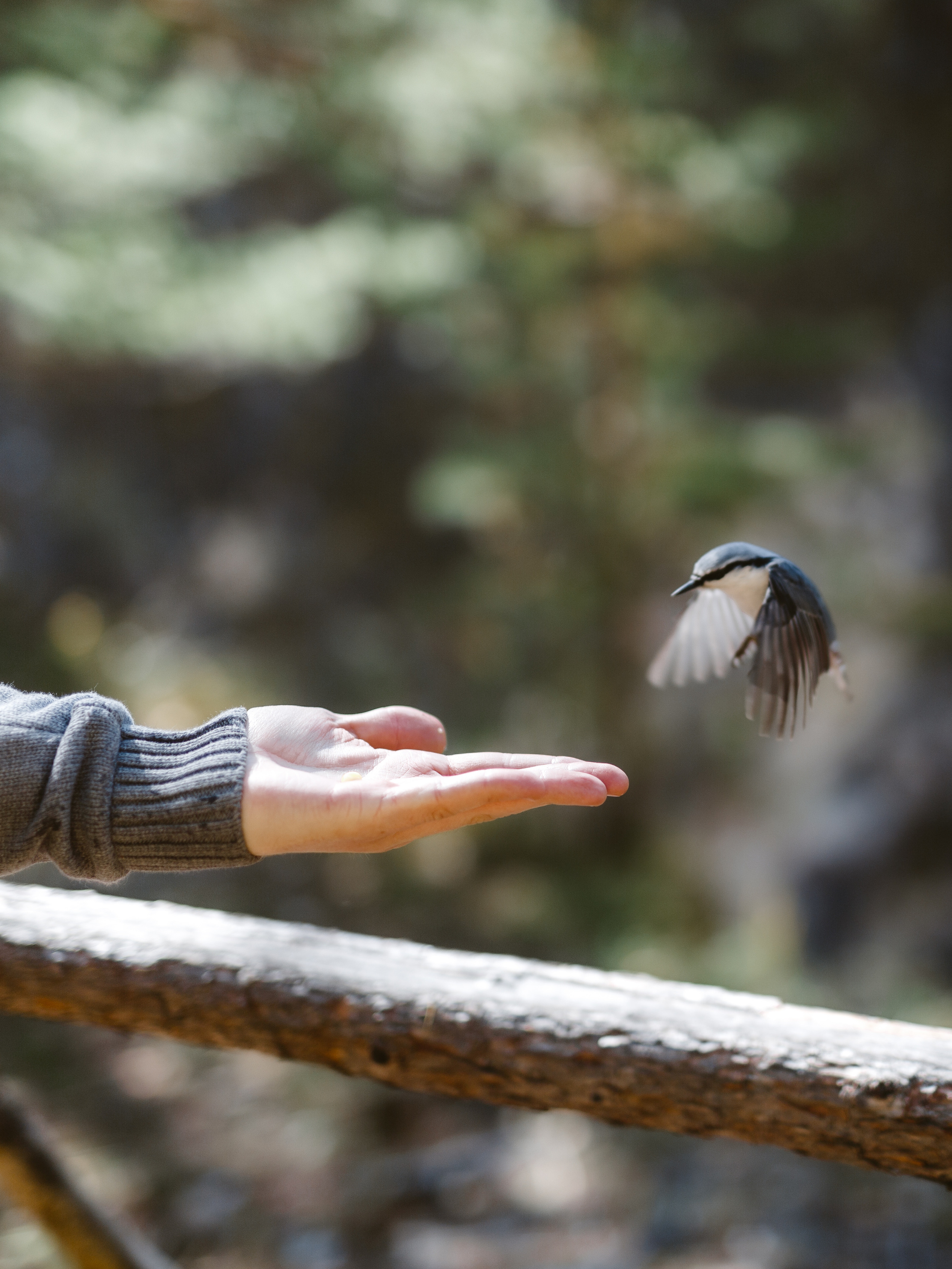 Тема и Аня. Свадебный фотограф в Москве Денис Анурьев