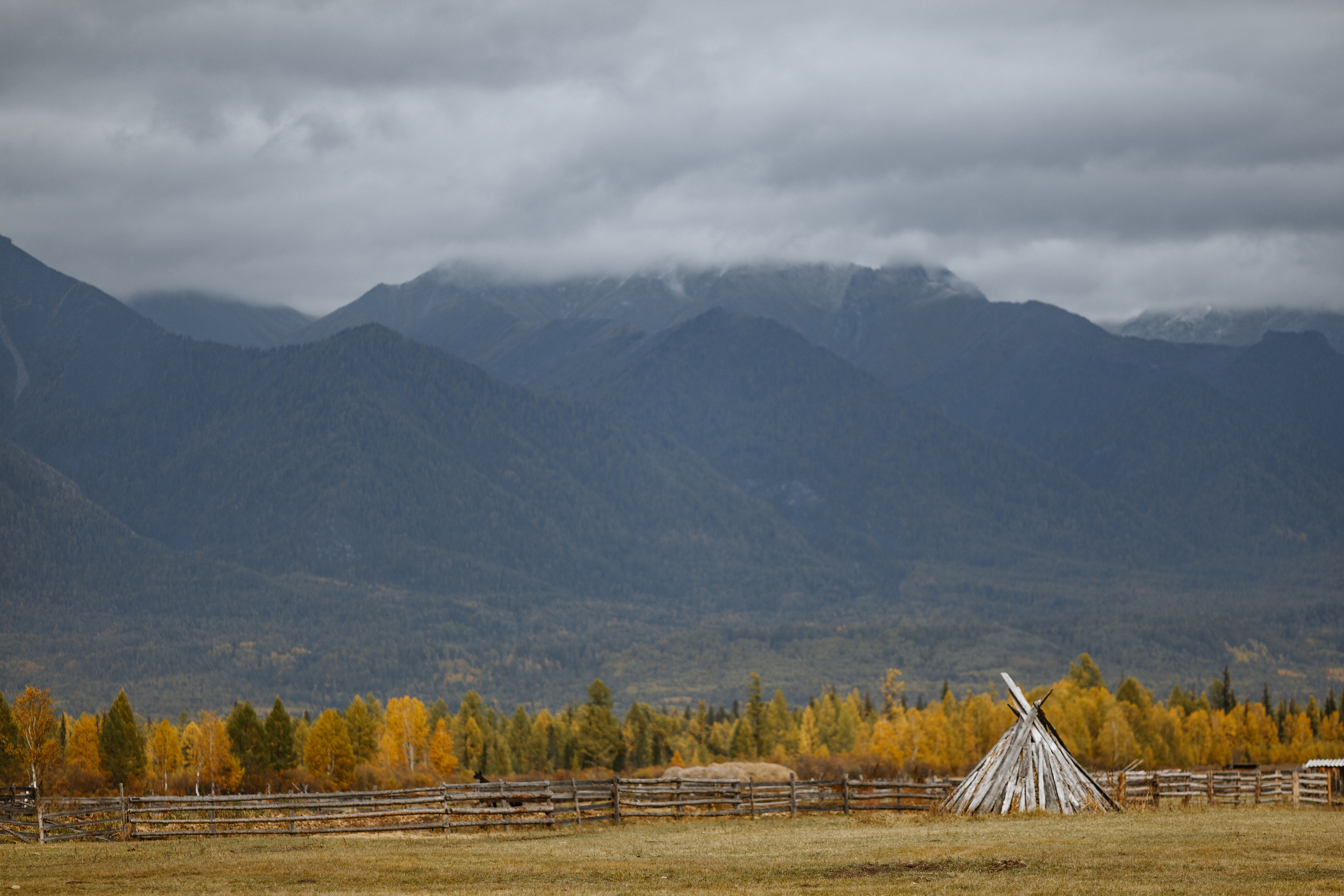 Тема и Аня. Свадебный фотограф в Москве Денис Анурьев
