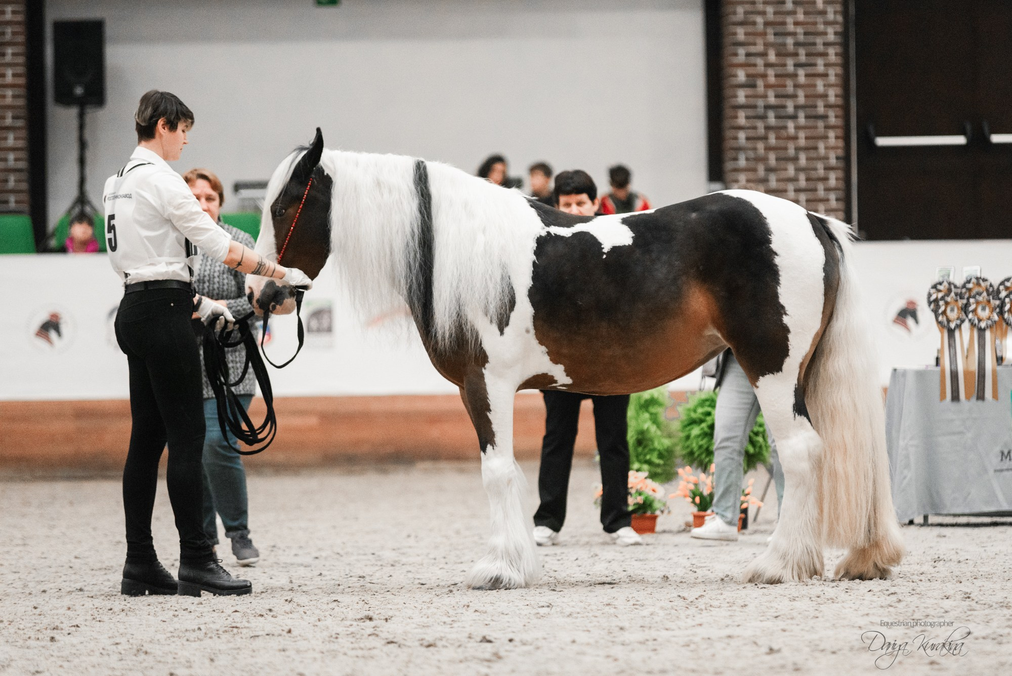 8-я международная выставка Конная Россия. Конный фотограф Куракина Дарья • Фотосессии с лошадьми