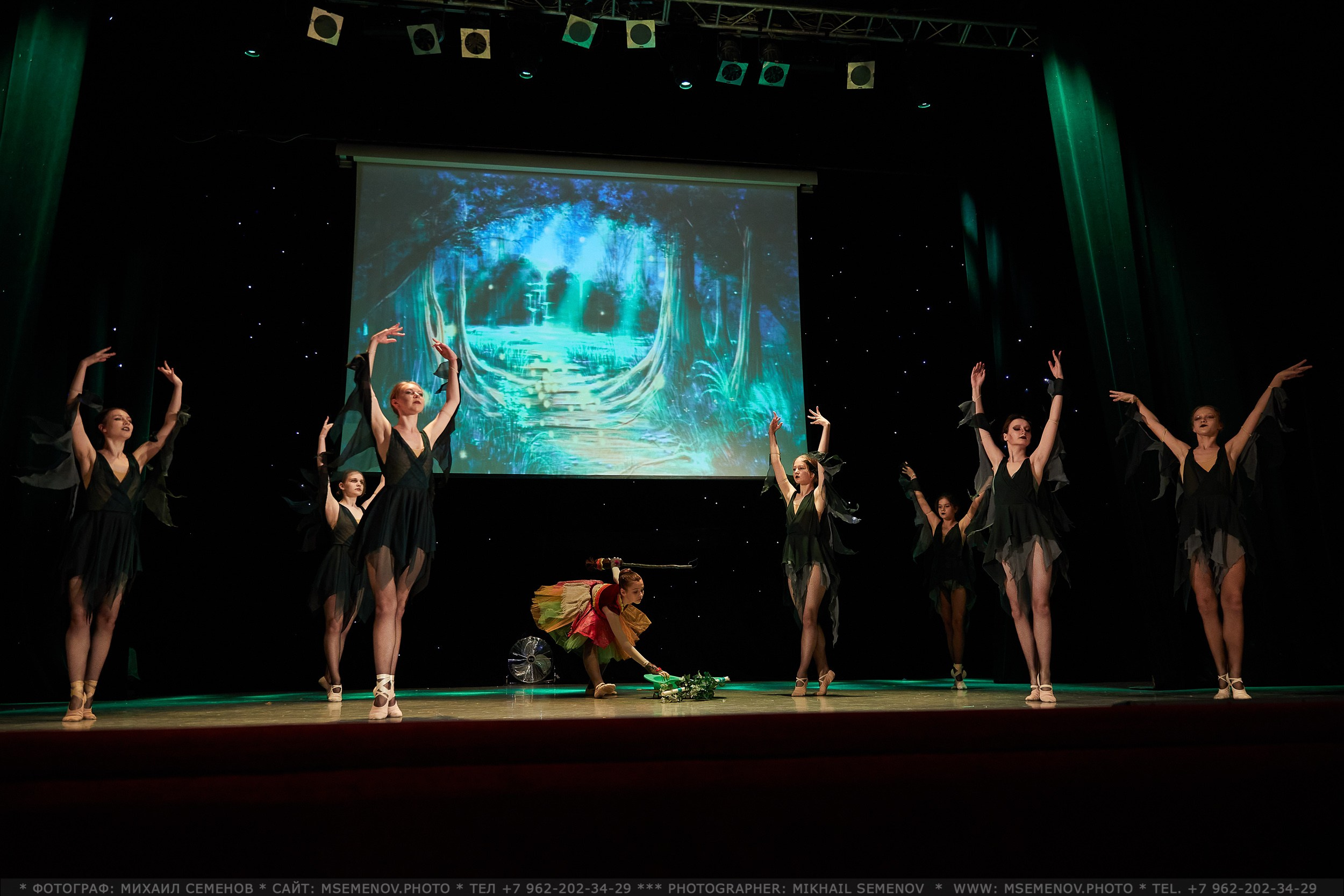 АНОНС фоторепортажа балета-мюзикла «ЖИЛ-БЫЛ КОРОЛЬ». Фотограф, фотопроекты Михаила Семенова в Ярославле. Фотошкола