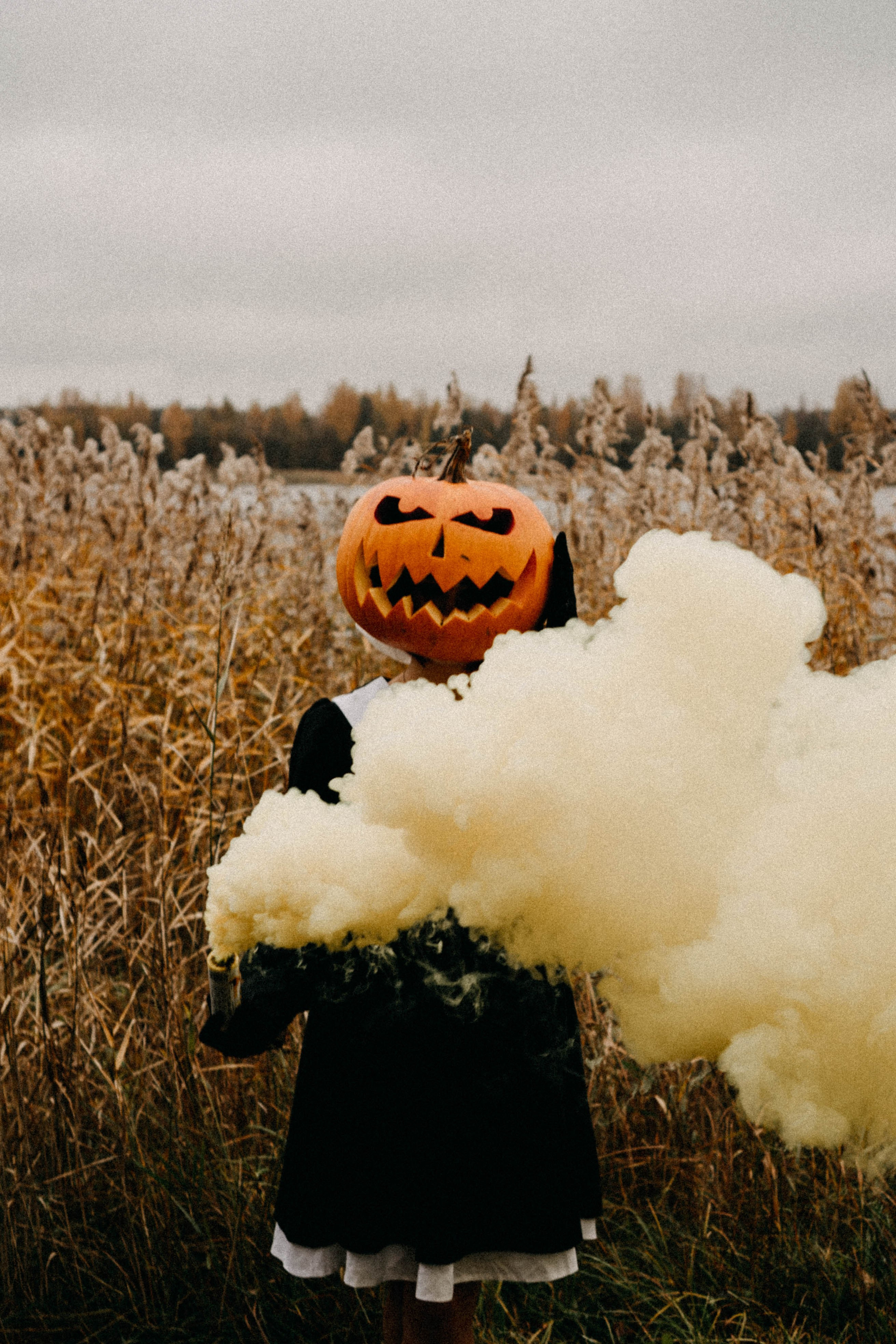 Осеняя. Профессиональный фотограф, Санкт-Петербург — Виктория Богомолова
