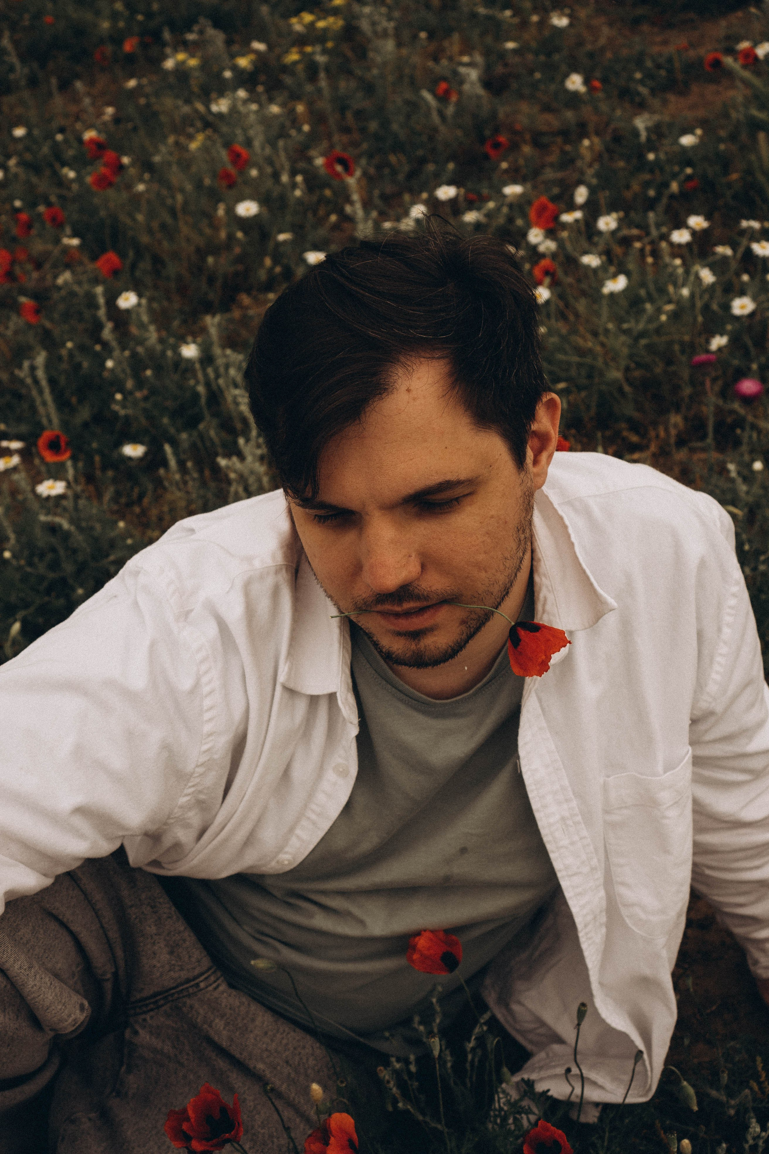 Маки. Профессиональный фотограф, Санкт-Петербург — Виктория Богомолова