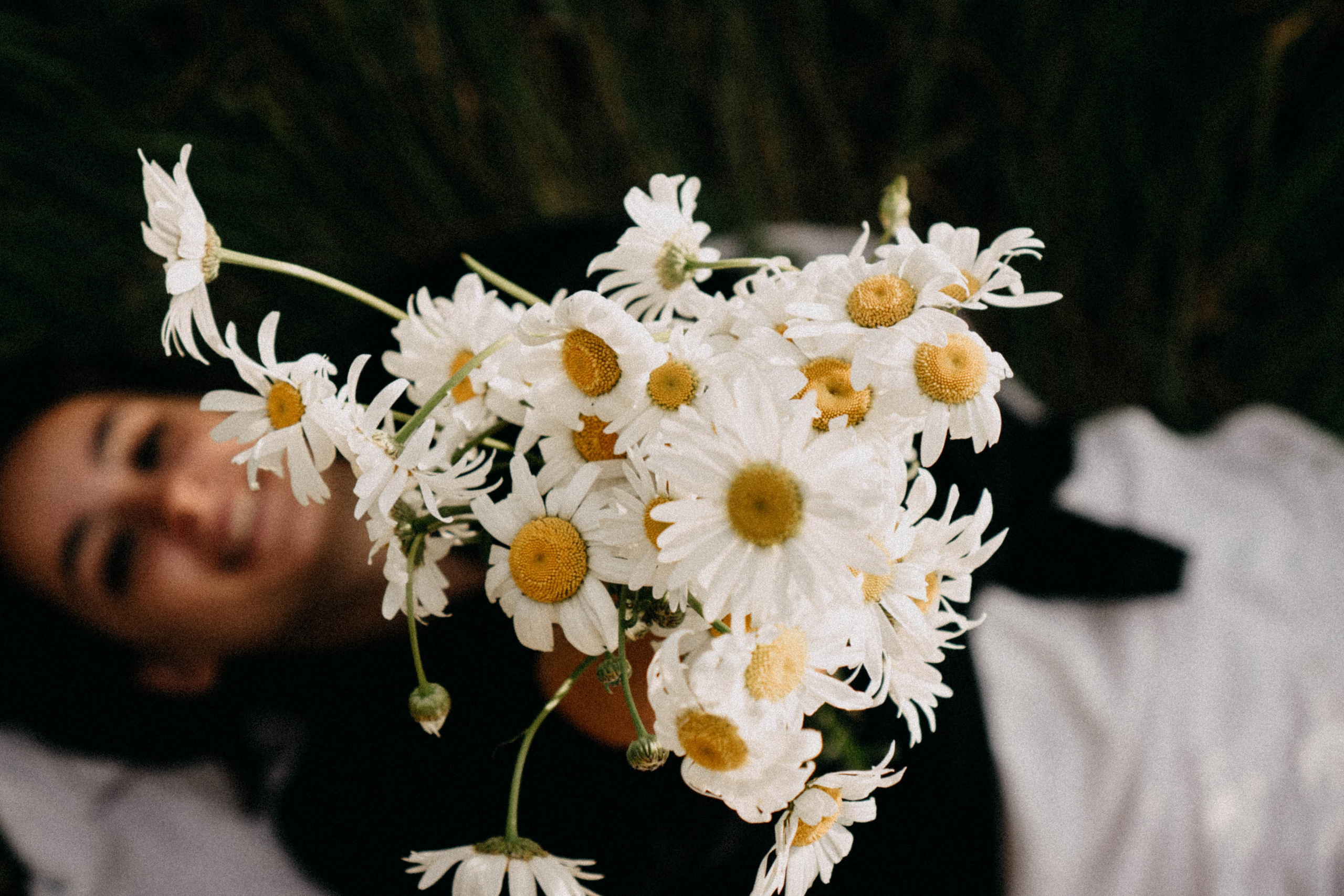 Летняя прогулка. Профессиональный фотограф, Санкт-Петербург — Виктория Богомолова
