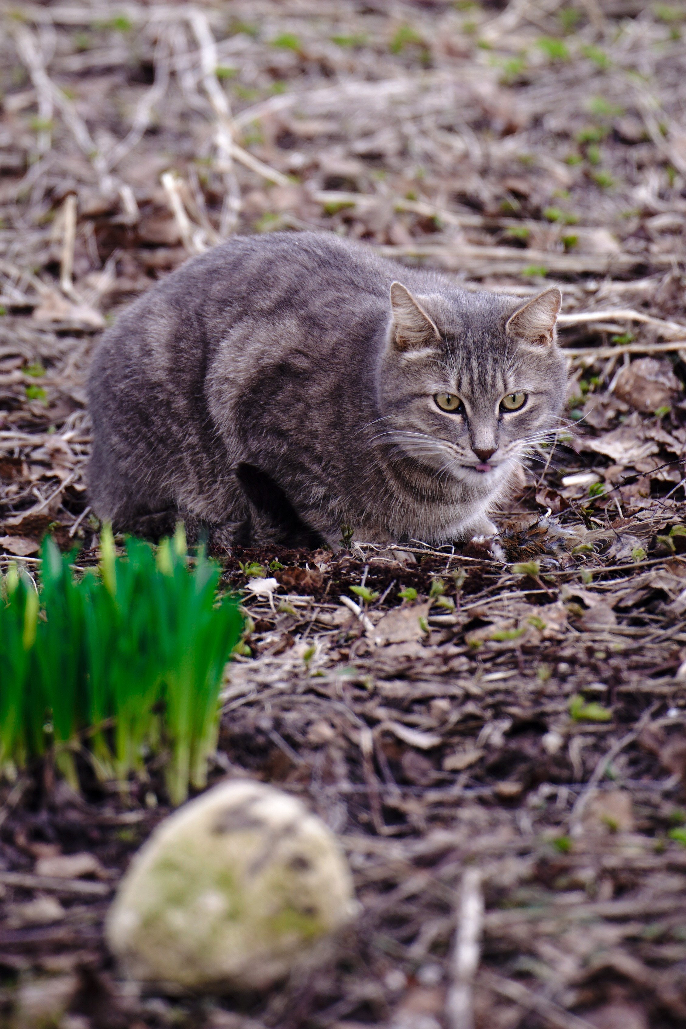 Фурманов, Апрель 2022