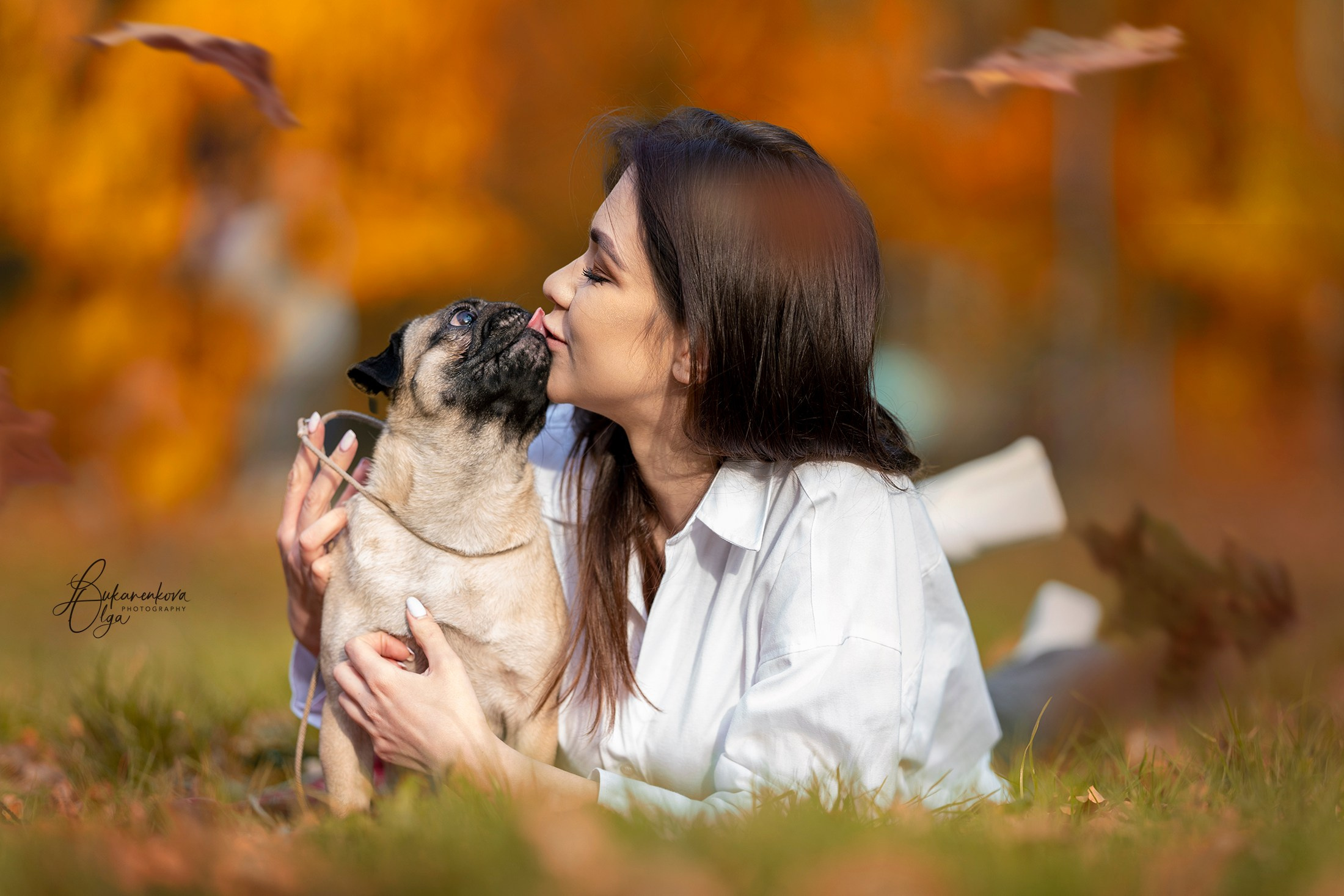 Дубки. Фотограф анималист Ольга Луканенкова в Москве