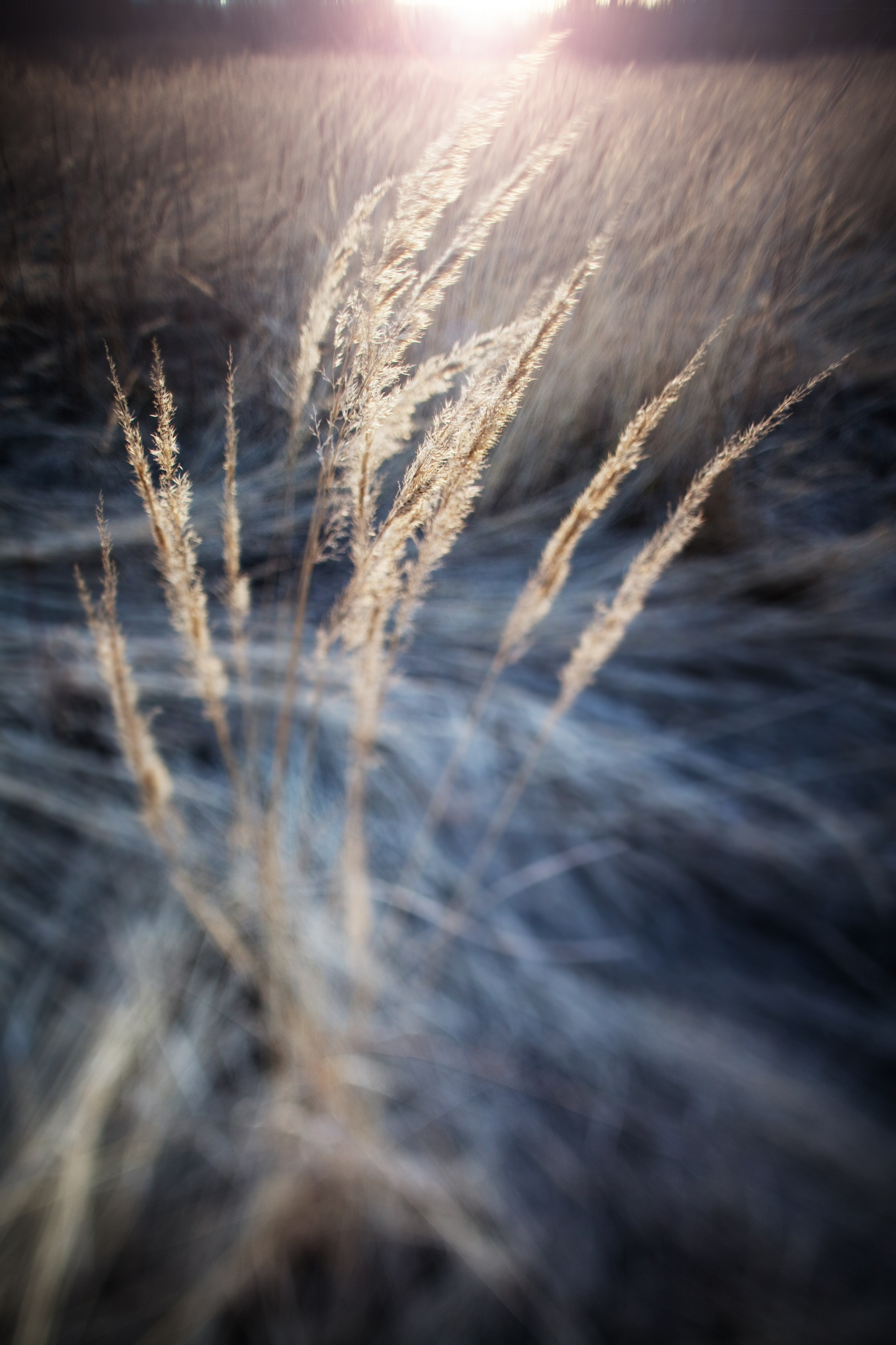 Средняя полоса России. Фотограф Владимир Медведев