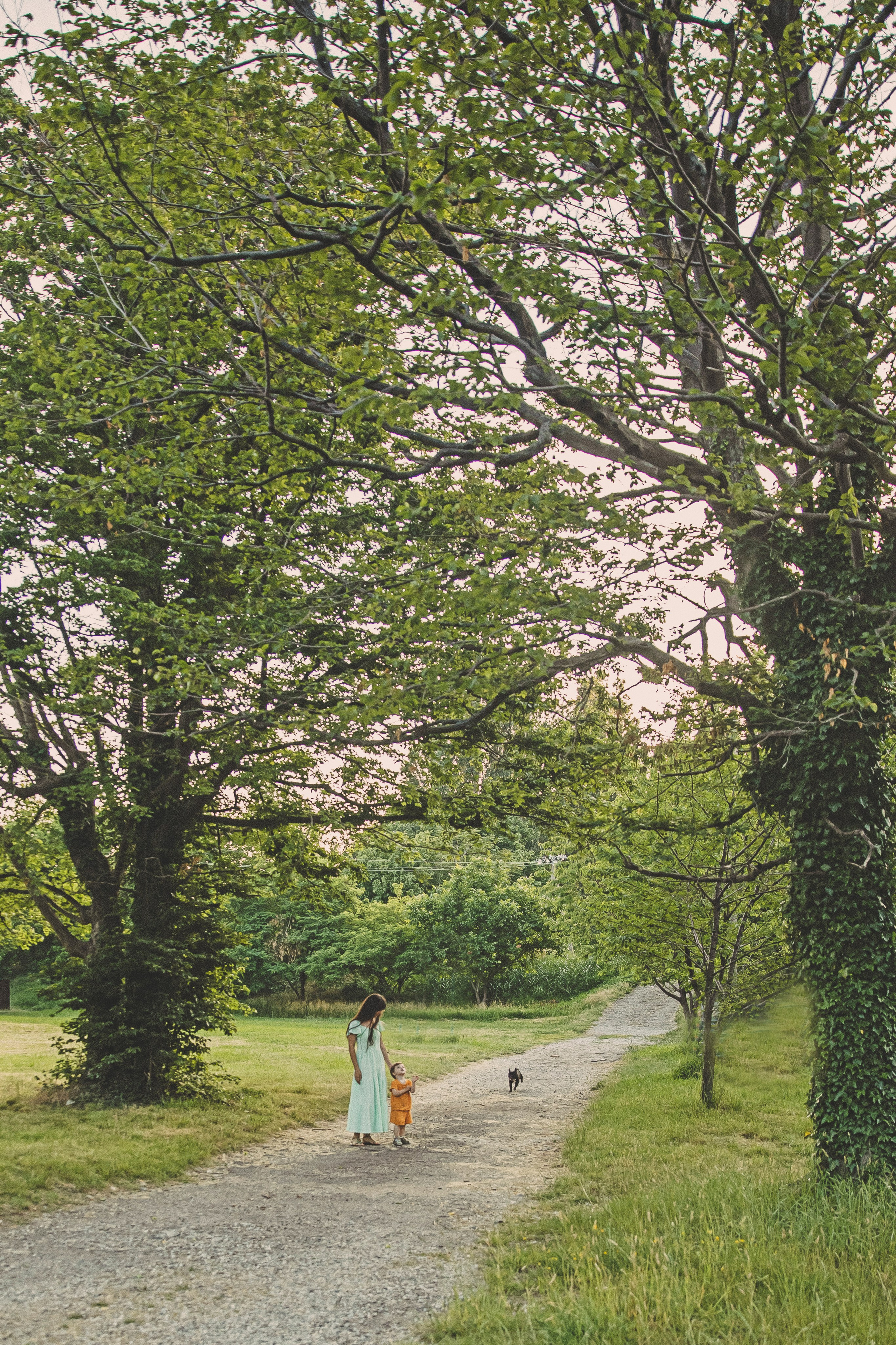 Валерия и Лёва. Свадебный и семейный фотограф Колоскова Мария (Сочи и весь мир)