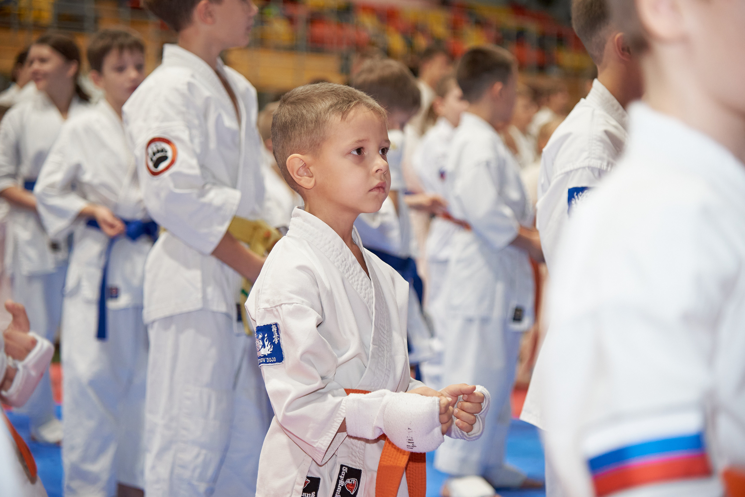 Чемпионат КИОКУШИН каратэ России. Фотограф Опыт Качество Скорость Горный Алтай Барнаул