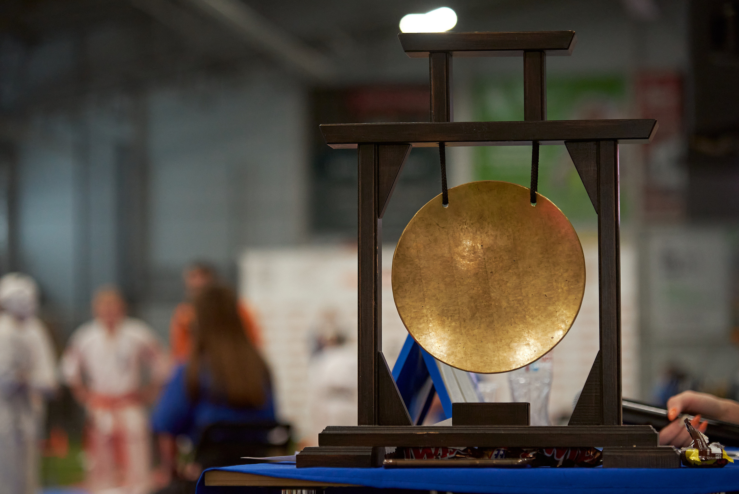 Чемпионат КИОКУШИН каратэ России. Фотограф Опыт Качество Скорость Горный Алтай Барнаул