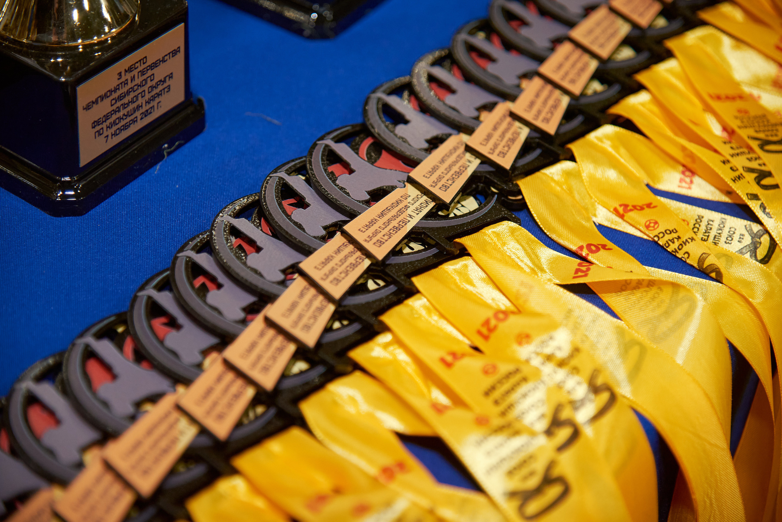 Чемпионат КИОКУШИН каратэ России. Фотограф Опыт Качество Скорость Горный Алтай Барнаул