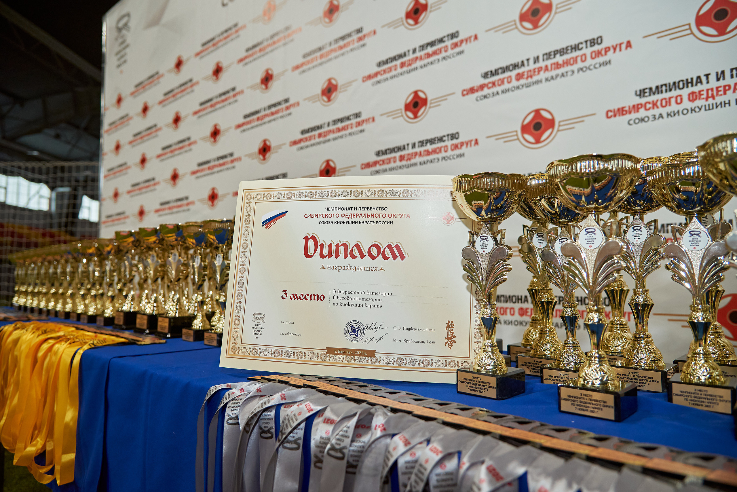 Чемпионат КИОКУШИН каратэ России. Фотограф Опыт Качество Скорость Горный Алтай Барнаул
