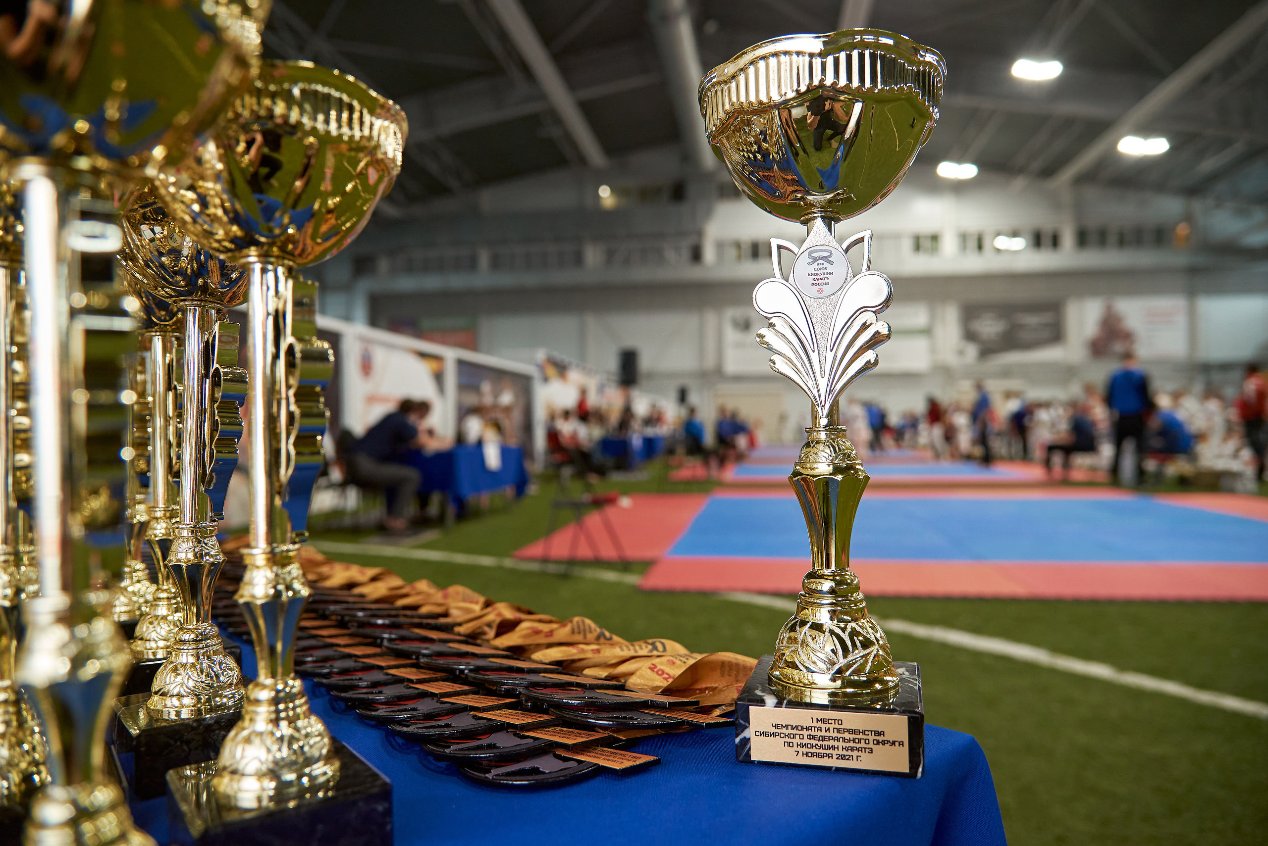 Чемпионат КИОКУШИН каратэ России. Фотограф Опыт Качество Скорость Горный Алтай Барнаул