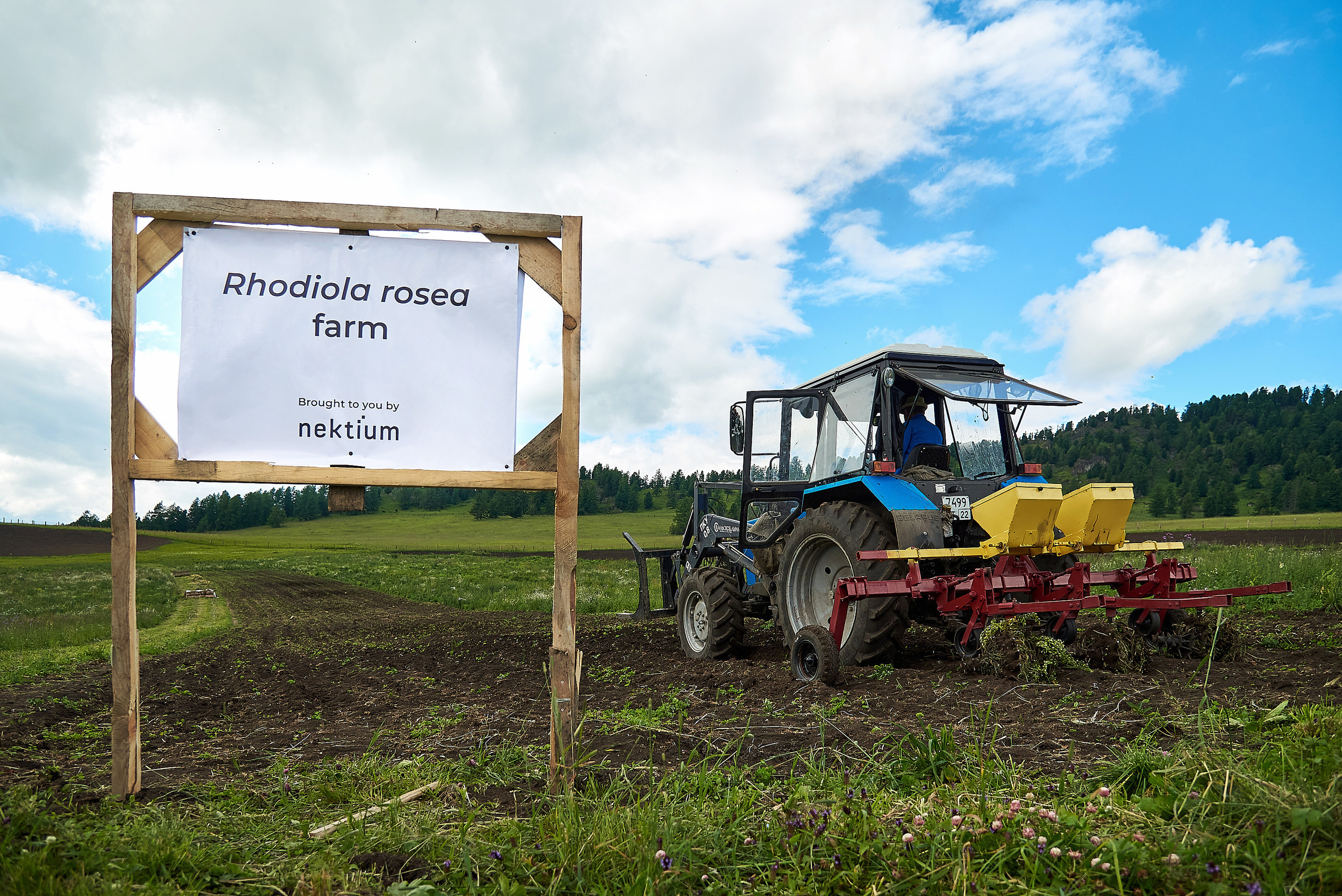 Фотограф для бизнеса. Фотограф Опыт Качество Скорость Горный Алтай Барнаул